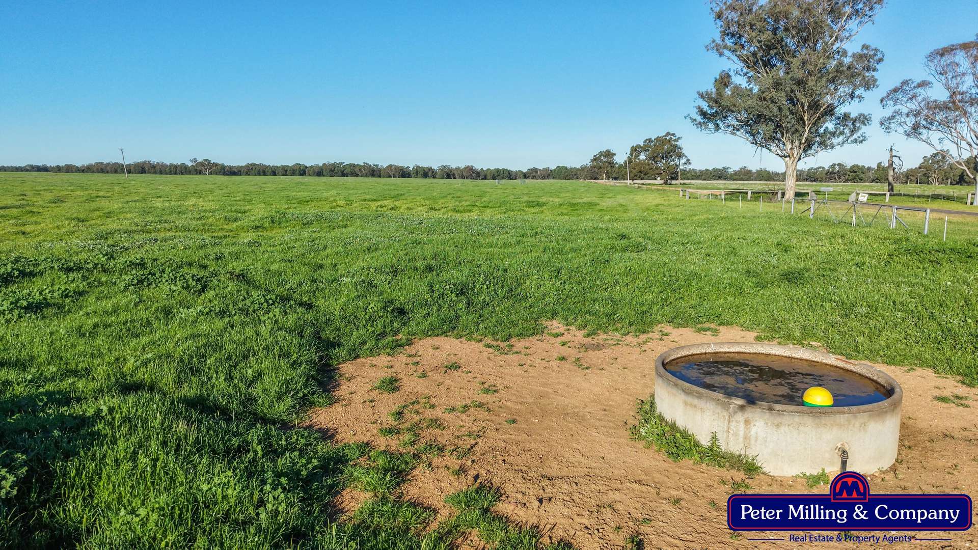 61L Terraview Road, Dubbo Auction by Farmbuy.com - image 23