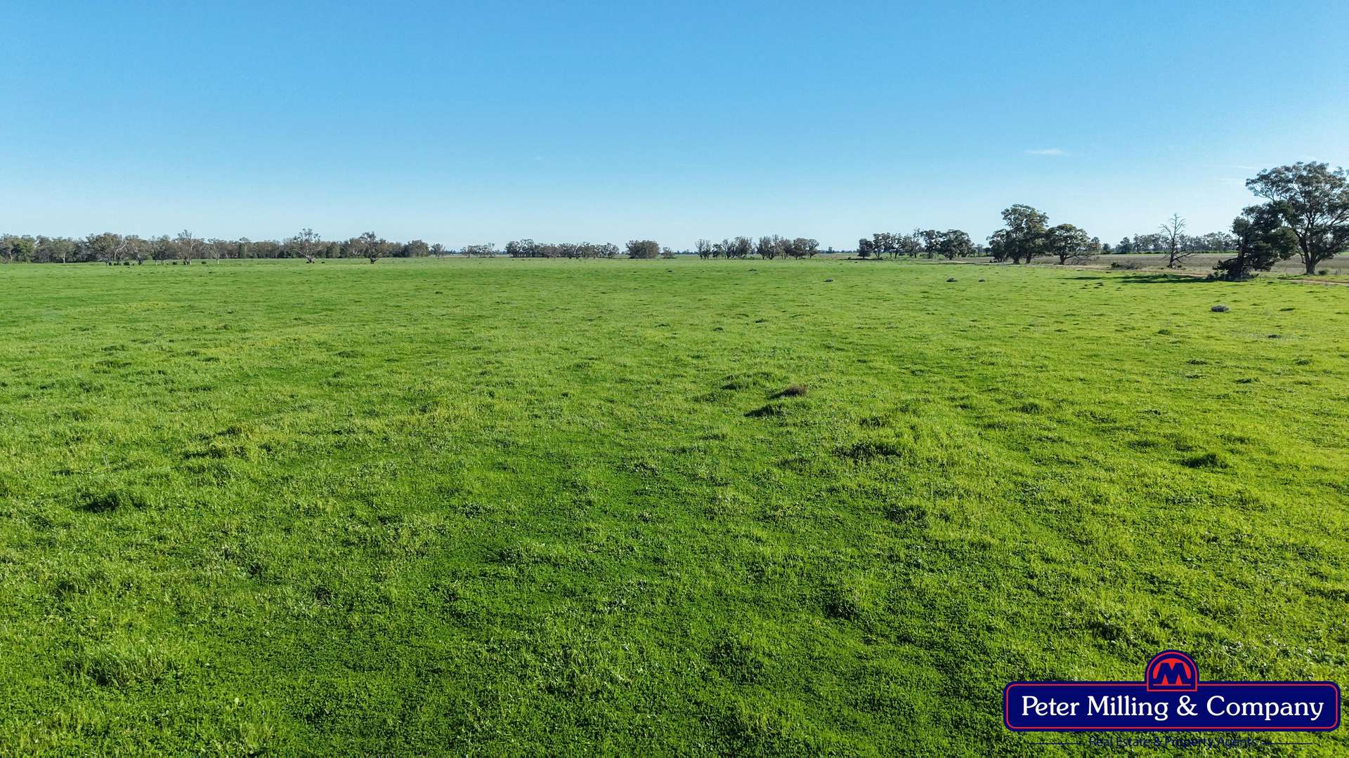 61L Terraview Road, Dubbo Auction by Farmbuy.com - image 29