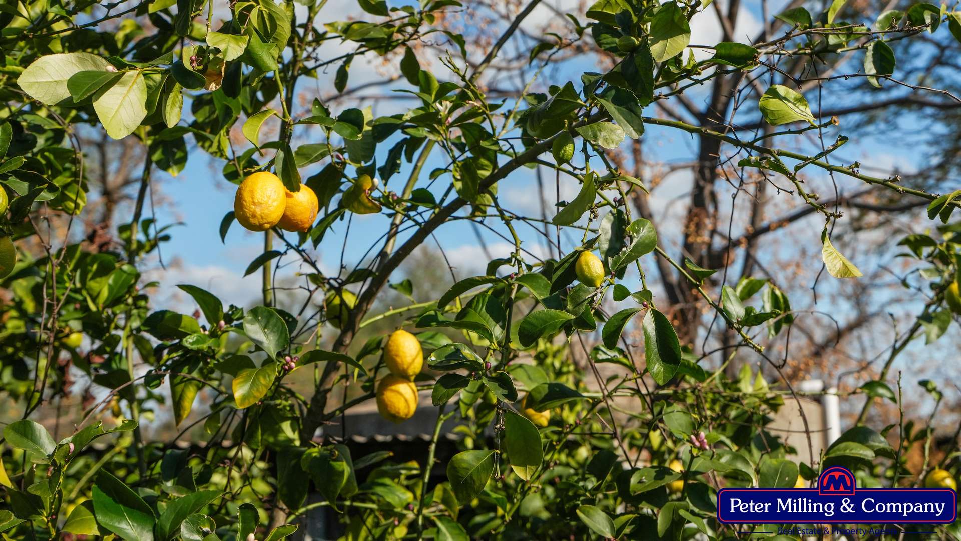 61L Terraview Road, Dubbo Auction by Farmbuy.com - image 27