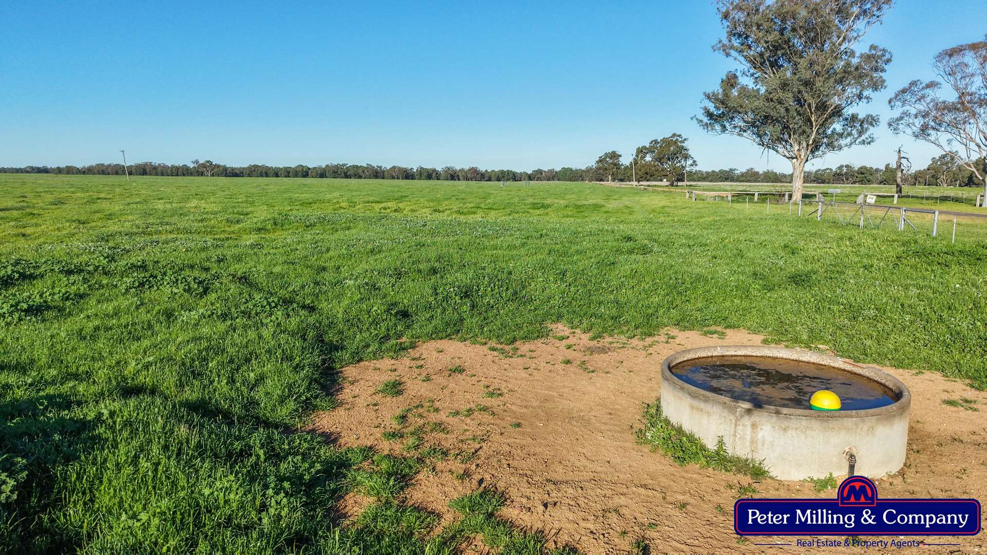 61L Terraview Road, Dubbo Auction by Farmbuy.com - image 27