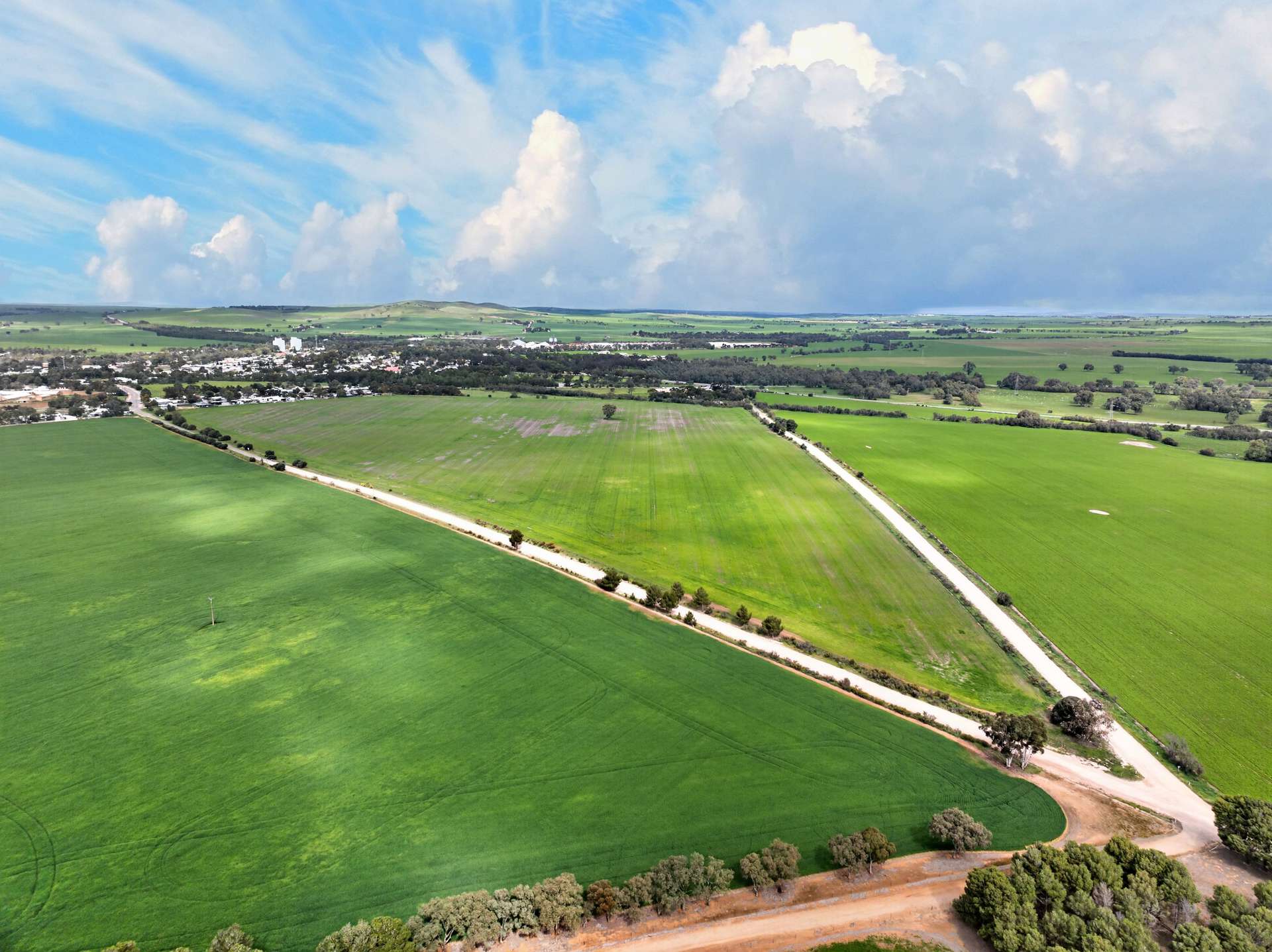 'Molino' Black Road, Gladstone For Sale by Farmbuy.com - image 10