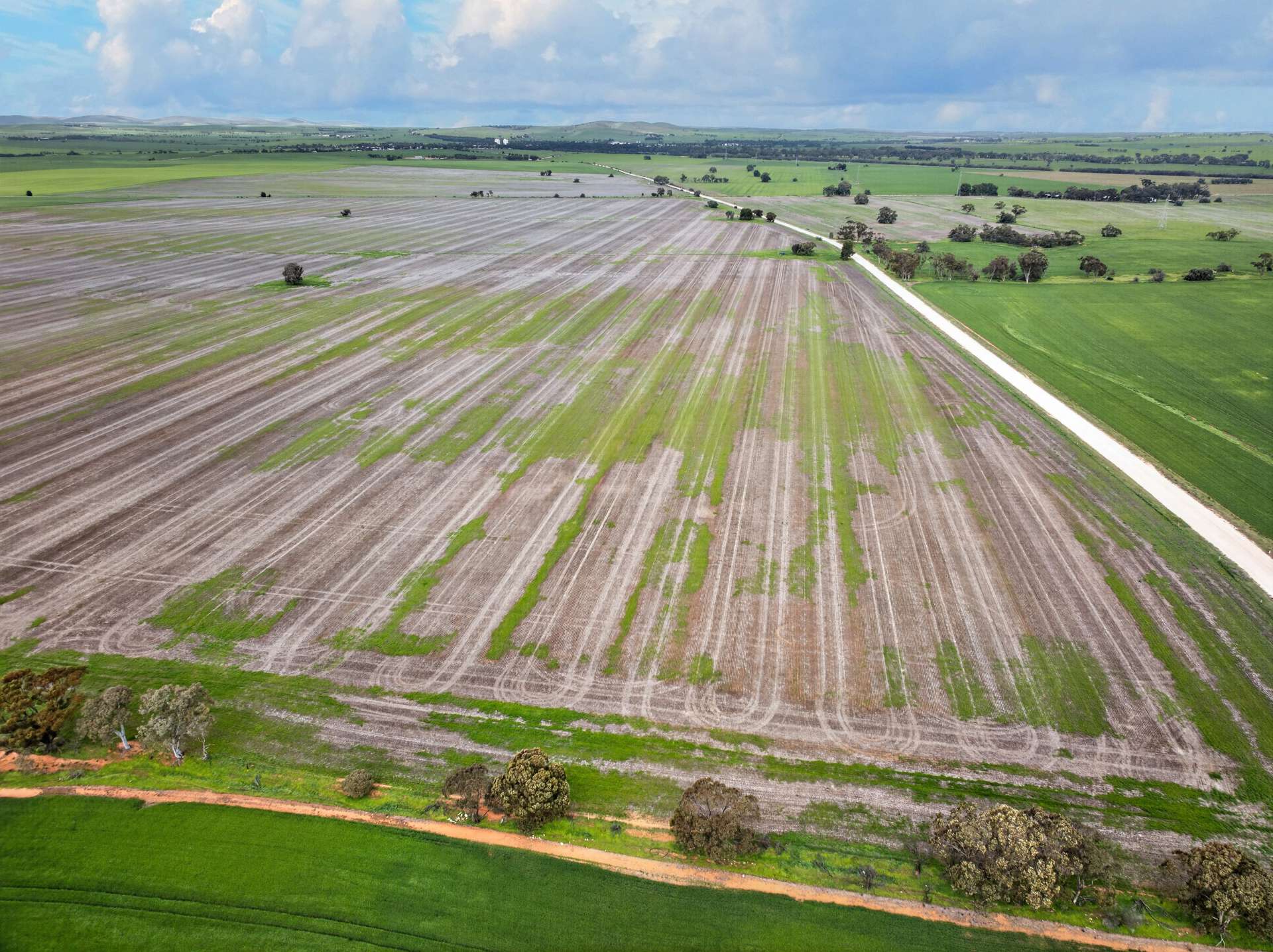 'Molino' Black Road, Gladstone For Sale by Farmbuy.com - image 12