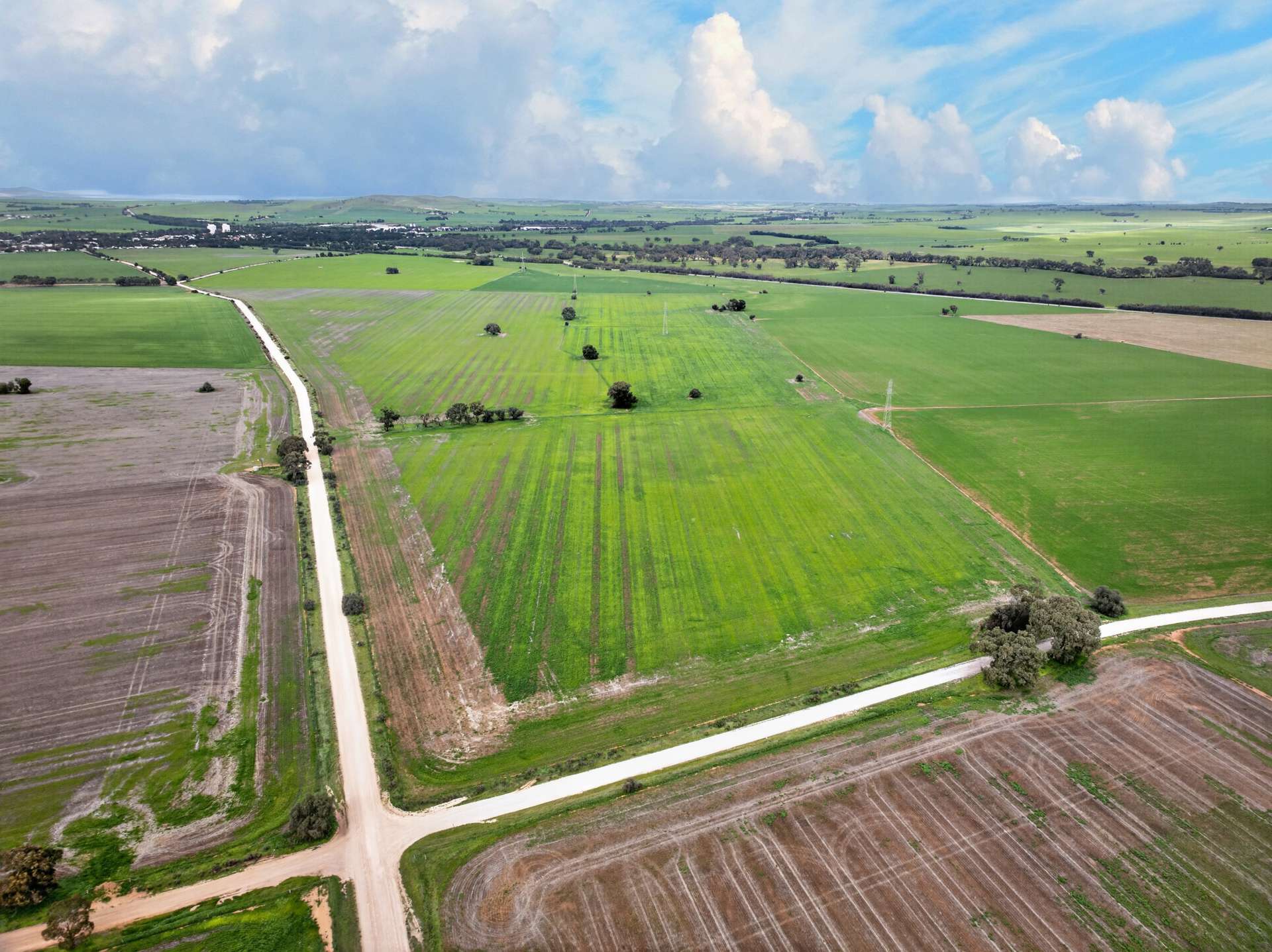 'Molino' Black Road, Gladstone For Sale by Farmbuy.com - image 9