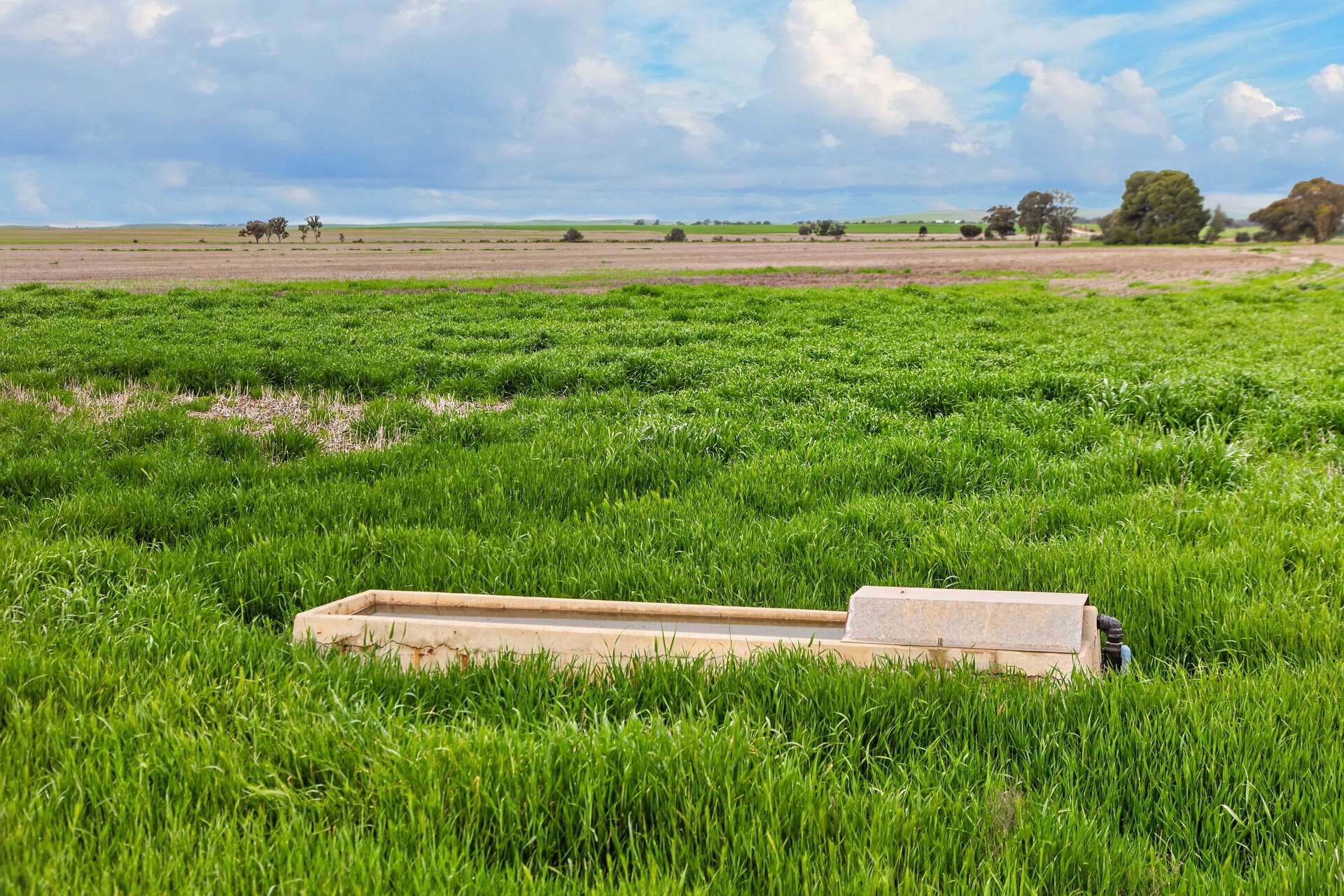 'Molino' Black Road, Gladstone For Sale by Farmbuy.com - image 11