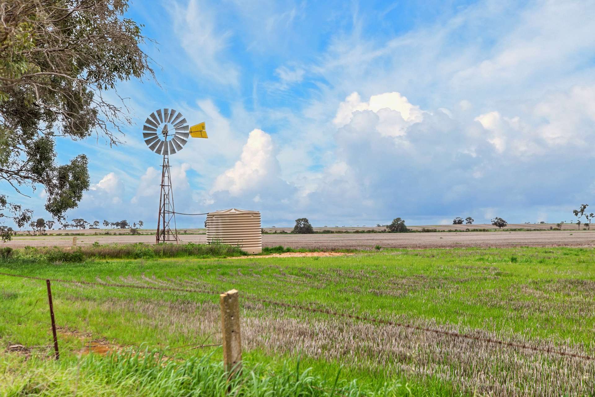'Molino' Black Road, Gladstone For Sale by Farmbuy.com - image 8
