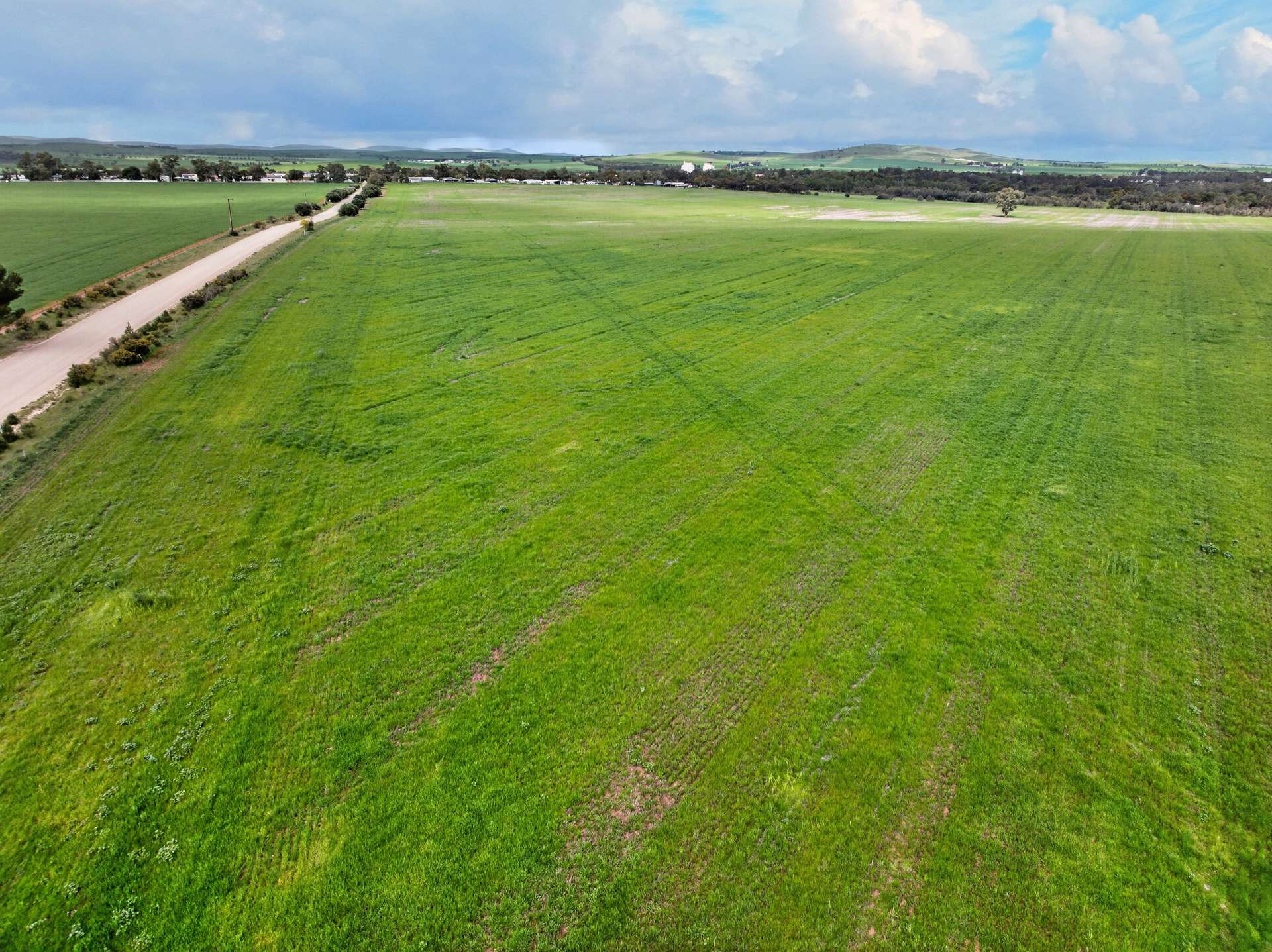 'Molino' Black Road, Gladstone For Sale by Farmbuy.com - image 2