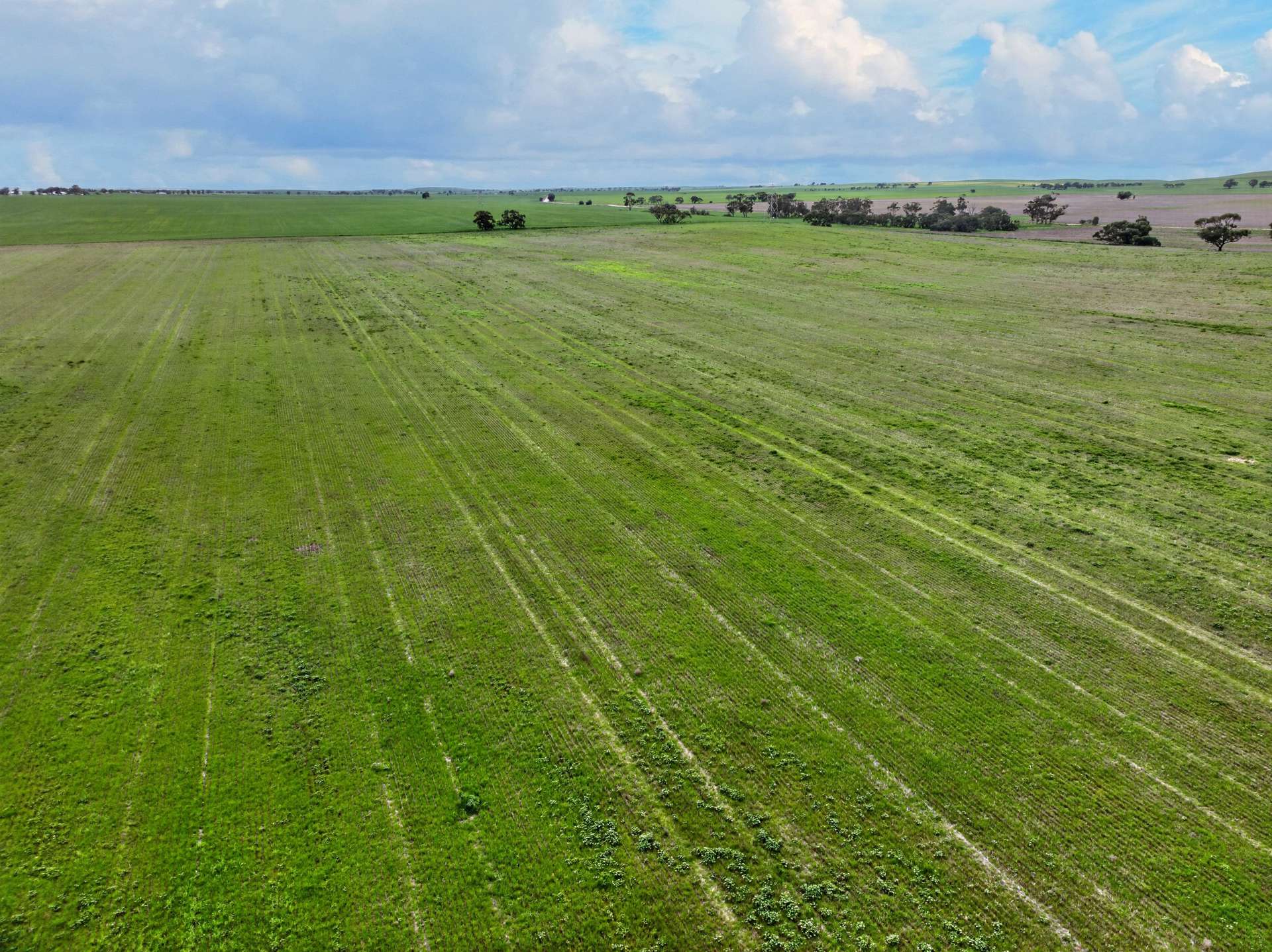 'Molino' Black Road, Gladstone For Sale by Farmbuy.com - image 3