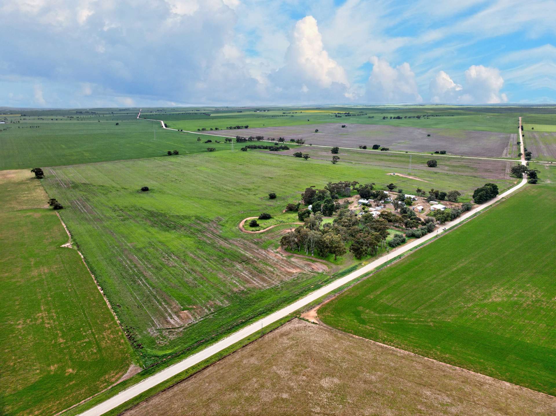 'Molino' Black Road, Gladstone For Sale by Farmbuy.com - image 5
