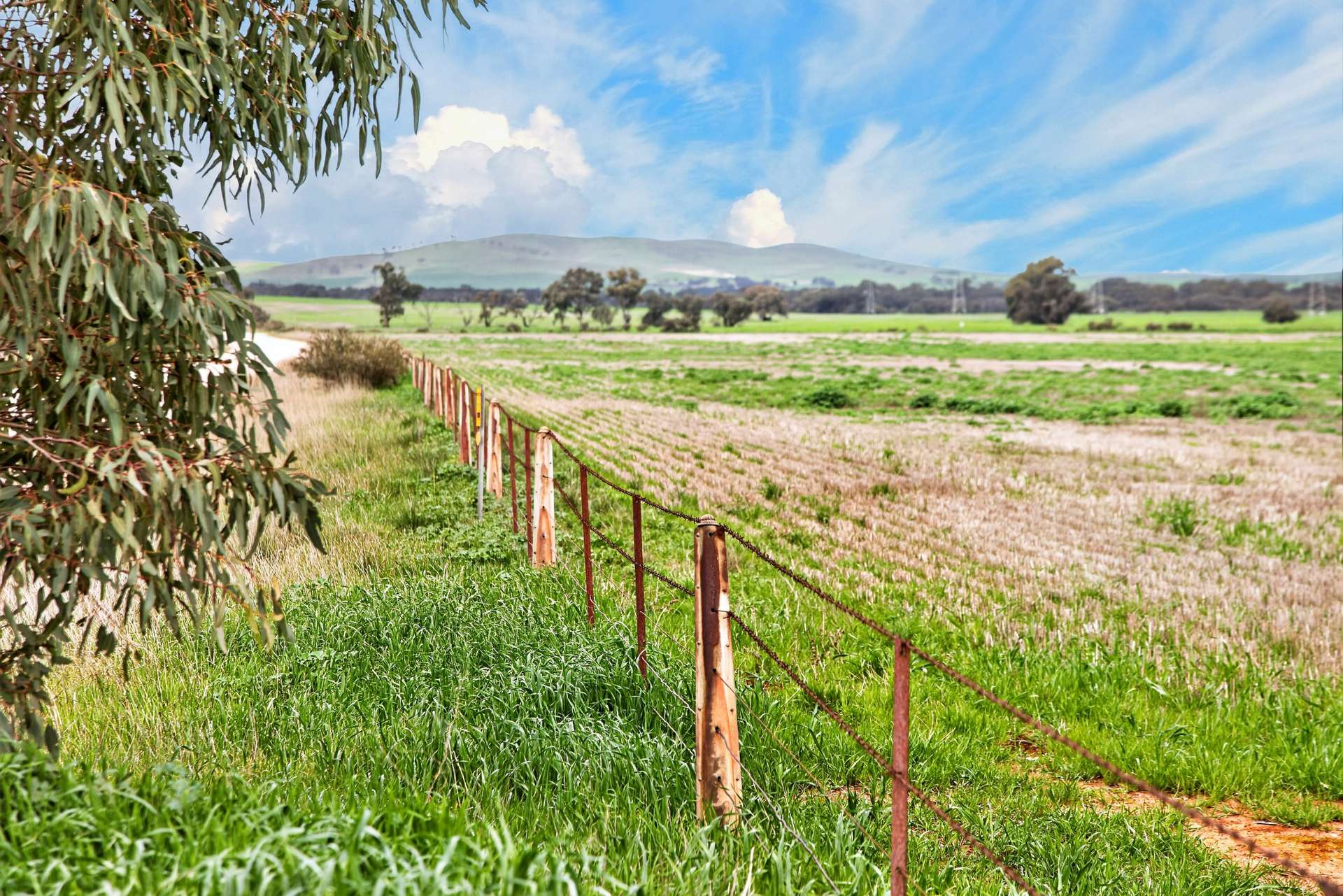 'Molino' Black Road, Gladstone For Sale by Farmbuy.com - image 7