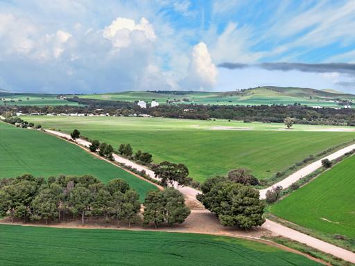 'Molino' Black Road, Gladstone SA 5473
