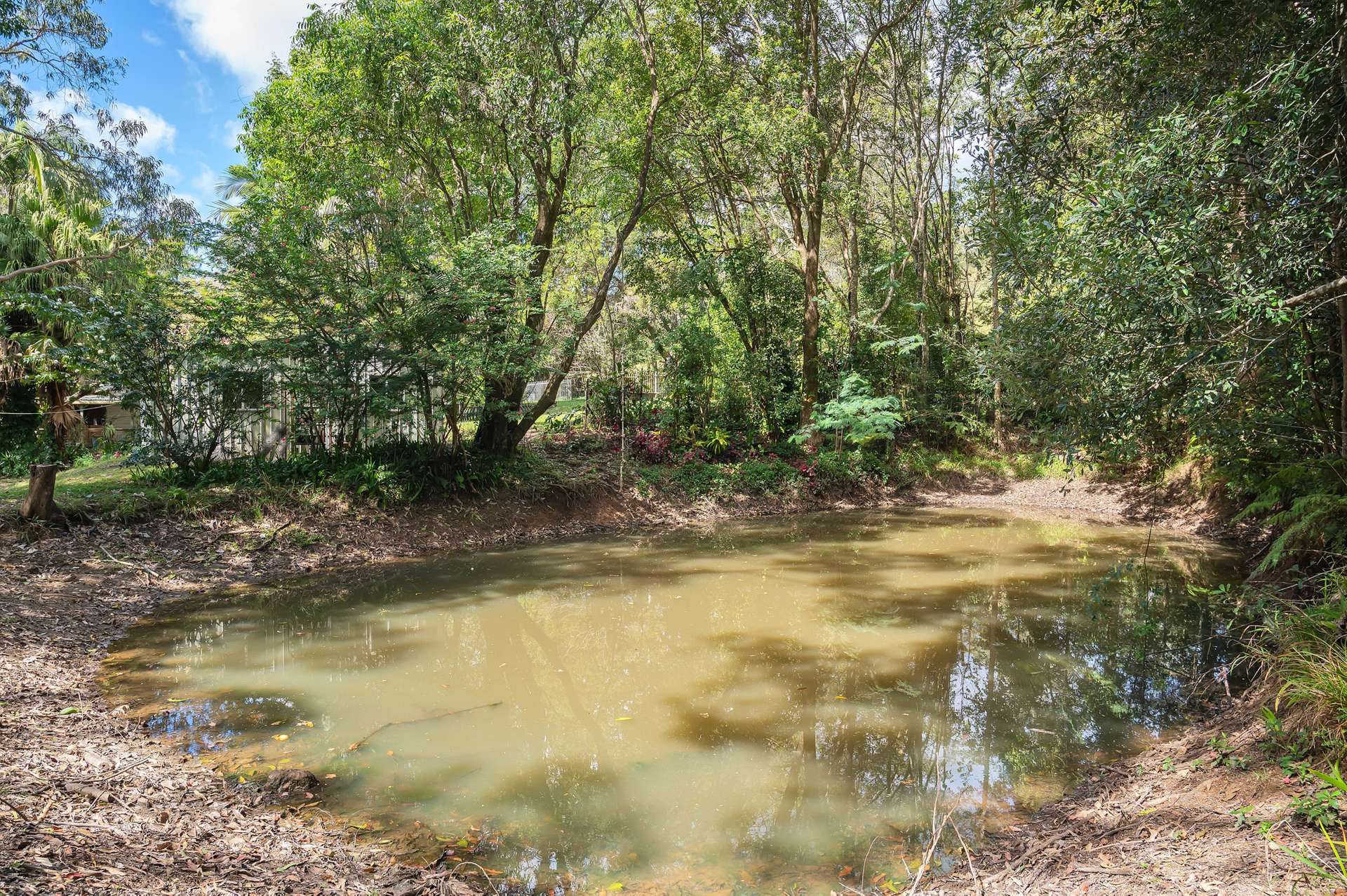 591 Nambour Mapleton Road, Kureelpa For Sale by Farmbuy.com - image 15