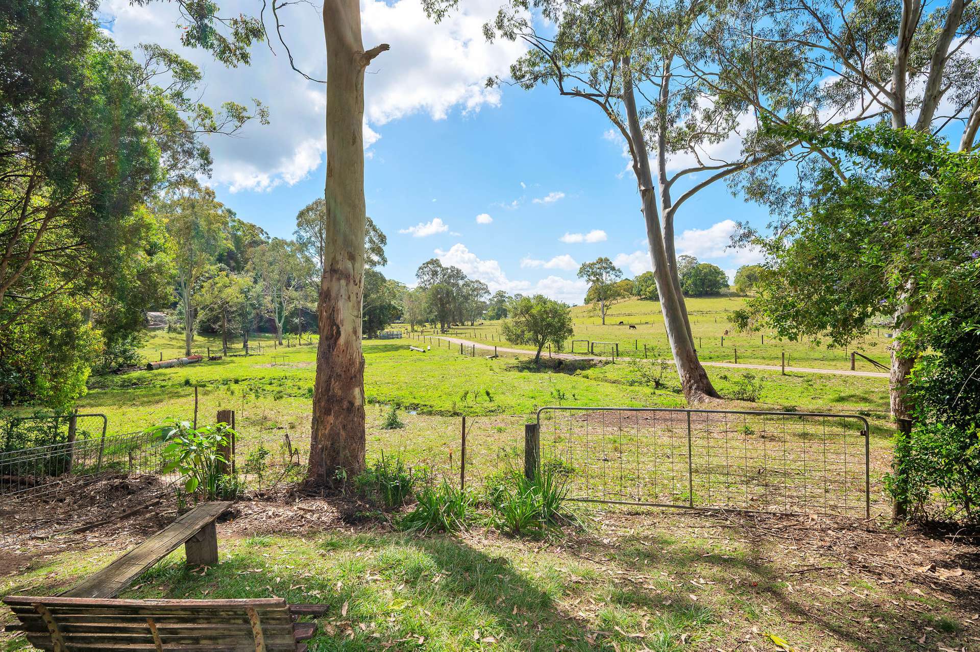 591 Nambour Mapleton Road, Kureelpa For Sale by Farmbuy.com - image 18
