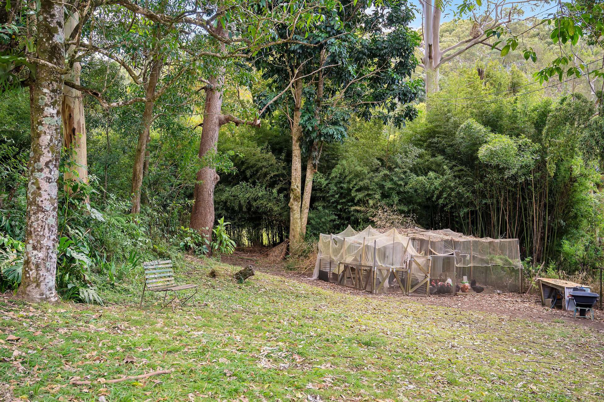 591 Nambour Mapleton Road, Kureelpa For Sale by Farmbuy.com - image 14