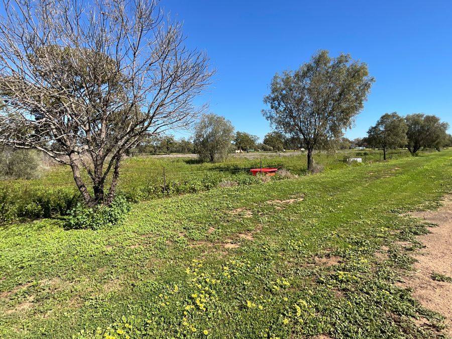 9524 Castlereagh Hwy, Coonamble For Sale by Farmbuy.com - image 32