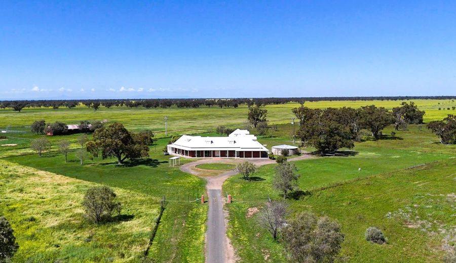 9524 Castlereagh Hwy, Coonamble For Sale by Farmbuy.com - image 2