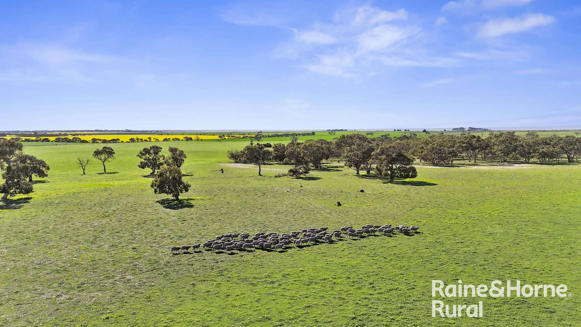 A3 - A9 Kindaruar Road, Milang For Sale by Farmbuy.com - image 8