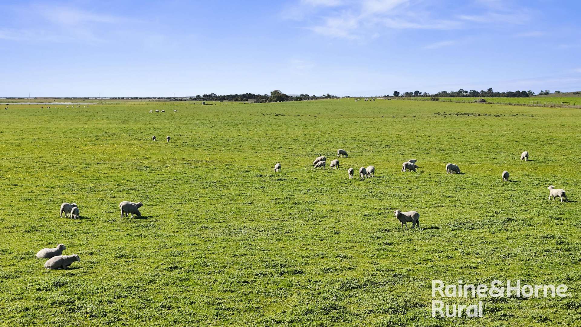 A3 - A9 Kindaruar Road, Milang For Sale by Farmbuy.com - image 20
