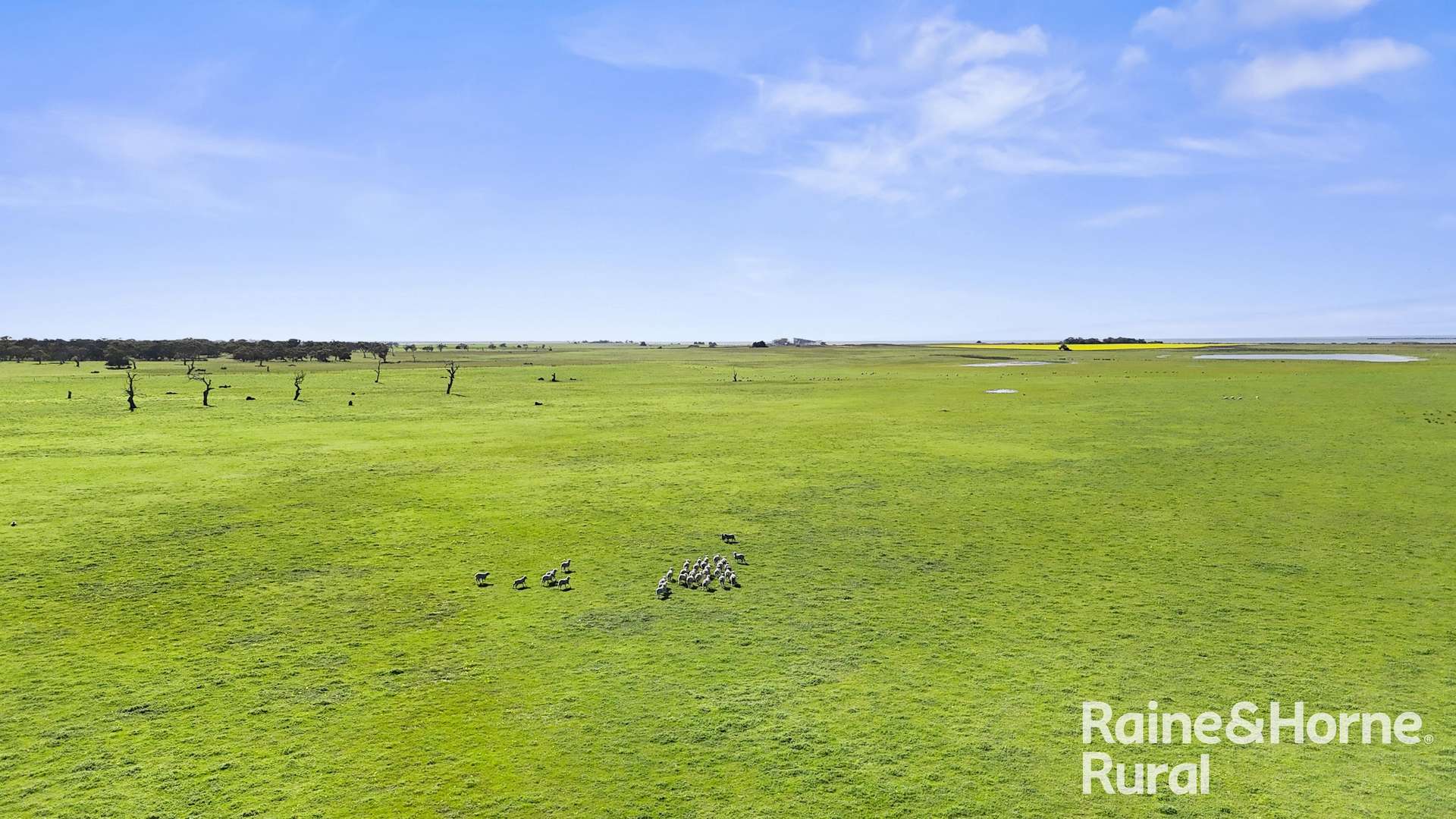 A3 - A9 Kindaruar Road, Milang For Sale by Farmbuy.com - image 17