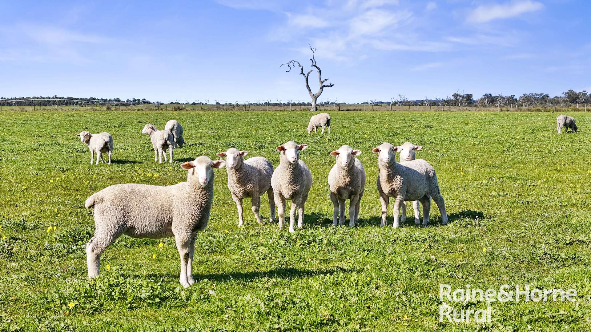 A3 - A9 Kindaruar Road, Milang For Sale by Farmbuy.com - image 16