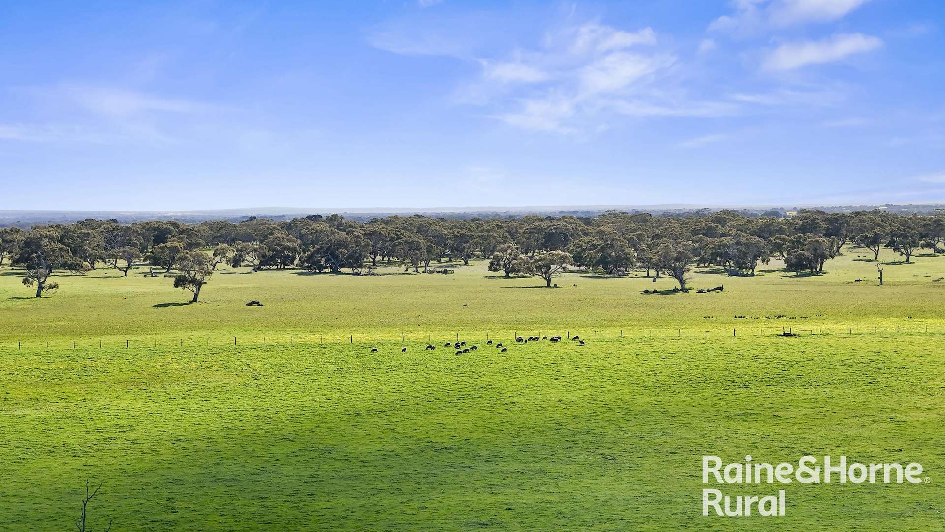 A3 - A9 Kindaruar Road, Milang For Sale by Farmbuy.com - image 6
