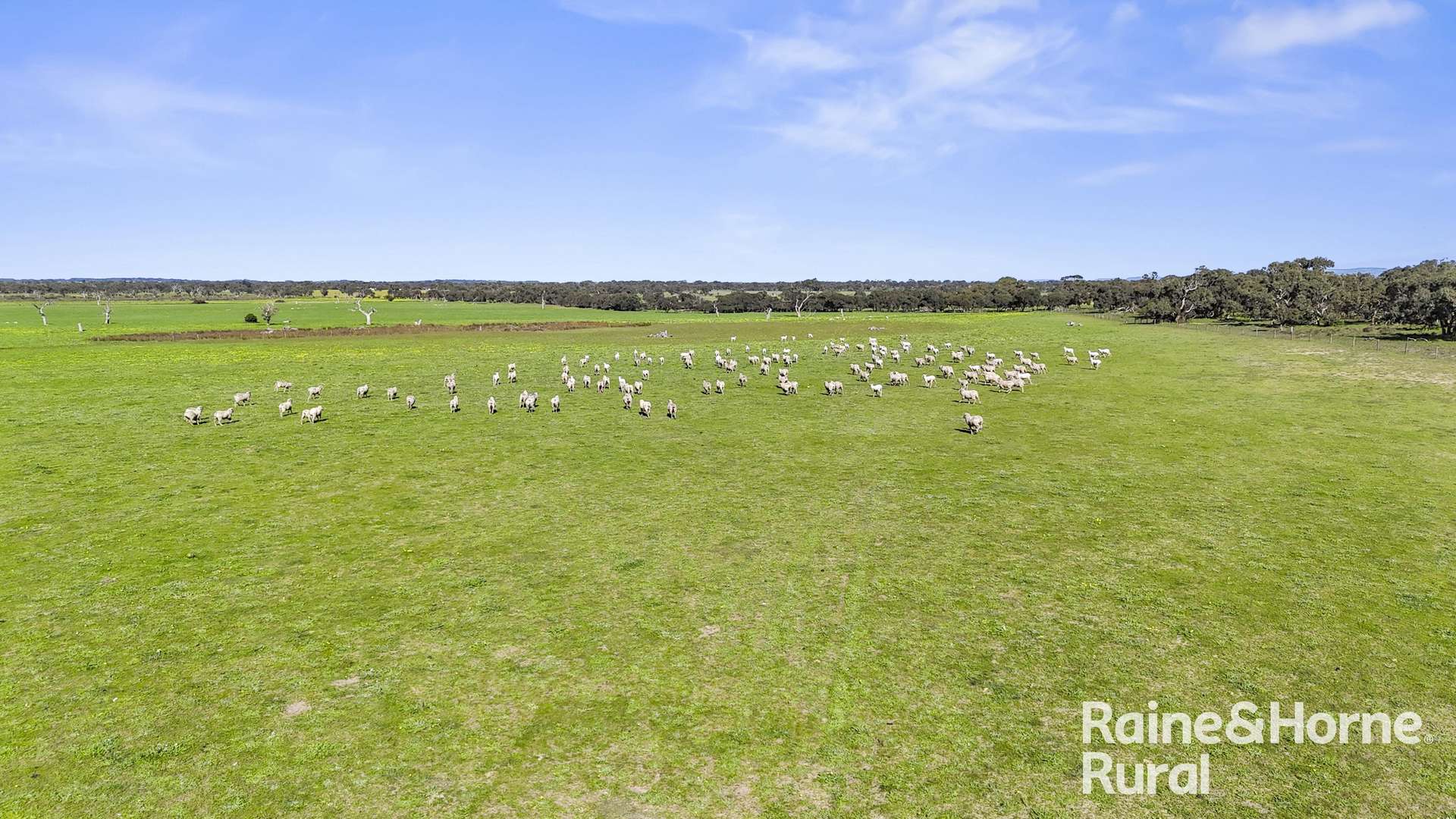 A3 - A9 Kindaruar Road, Milang For Sale by Farmbuy.com - image 25