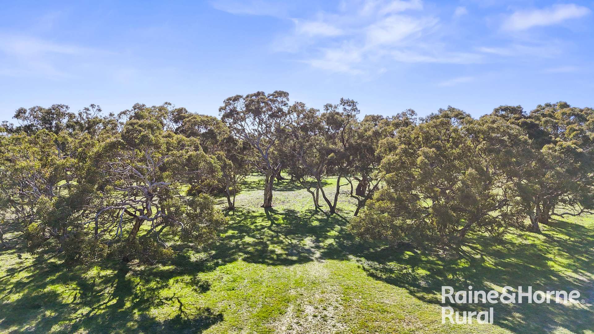 A3 - A9 Kindaruar Road, Milang For Sale by Farmbuy.com - image 24