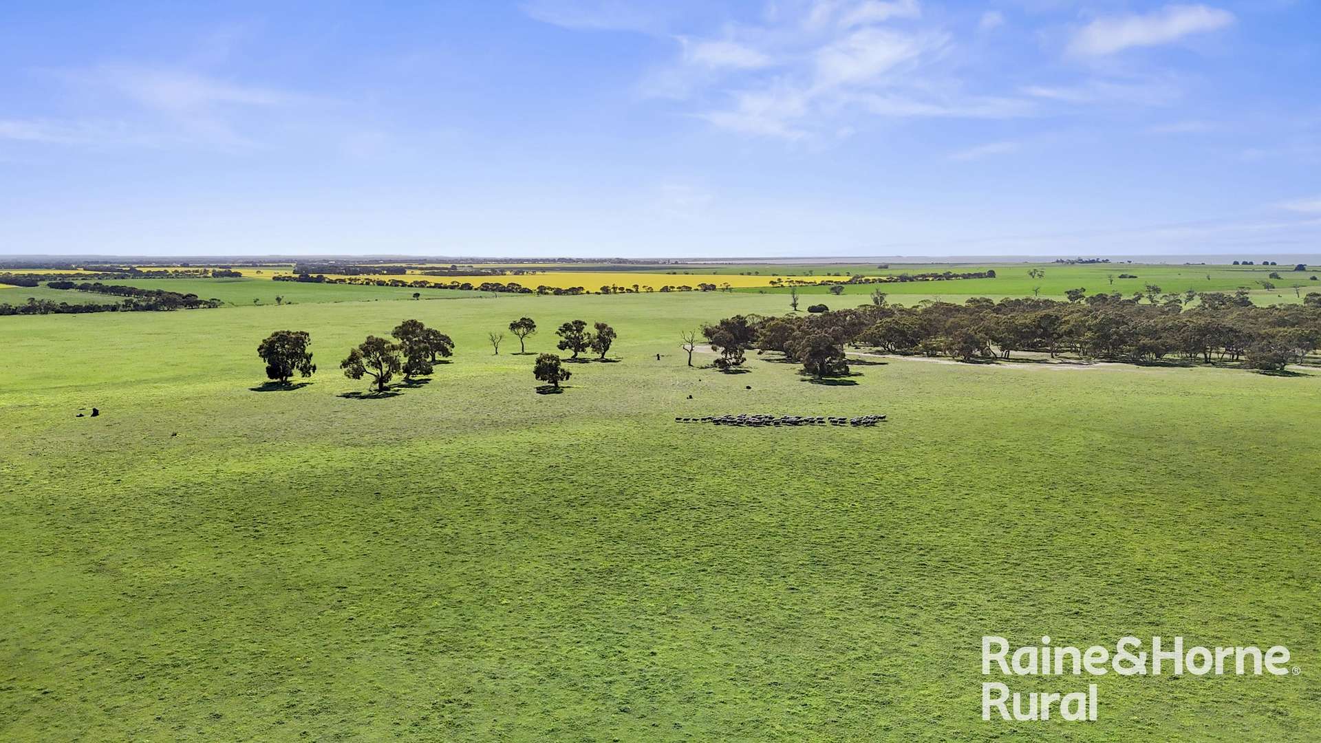 A3 - A9 Kindaruar Road, Milang For Sale by Farmbuy.com - image 15