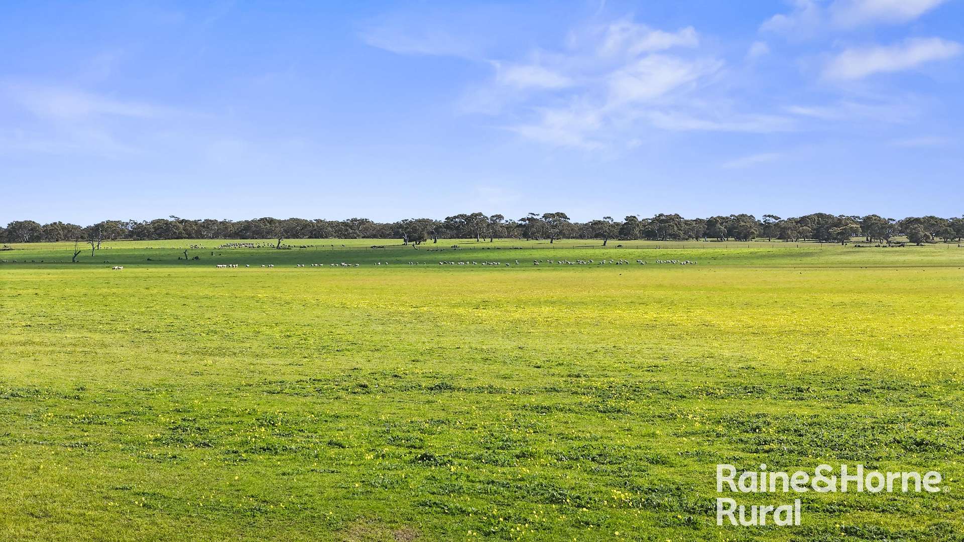 A3 - A9 Kindaruar Road, Milang For Sale by Farmbuy.com - image 11