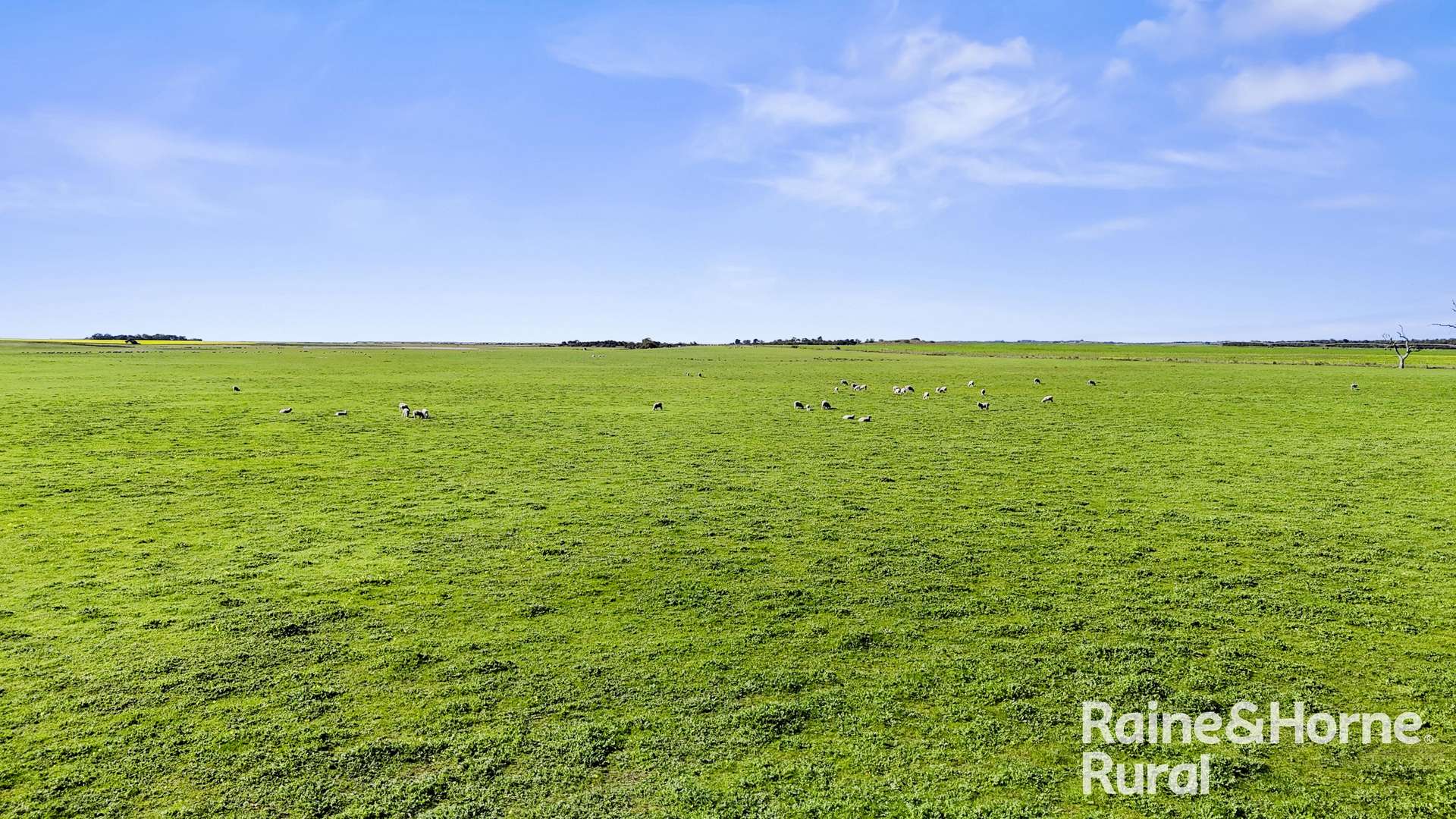 A3 - A9 Kindaruar Road, Milang For Sale by Farmbuy.com - image 13