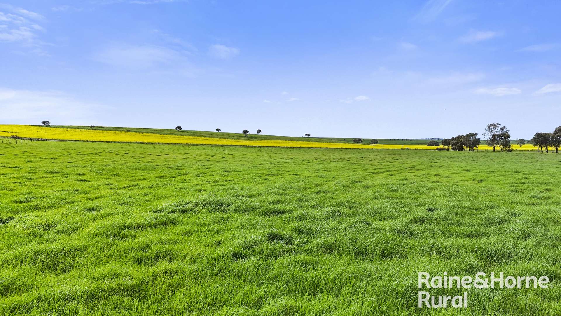 A1 - A3 Everley Road & Dalveen Road, Woodchester For Sale by Farmbuy.com - image 18
