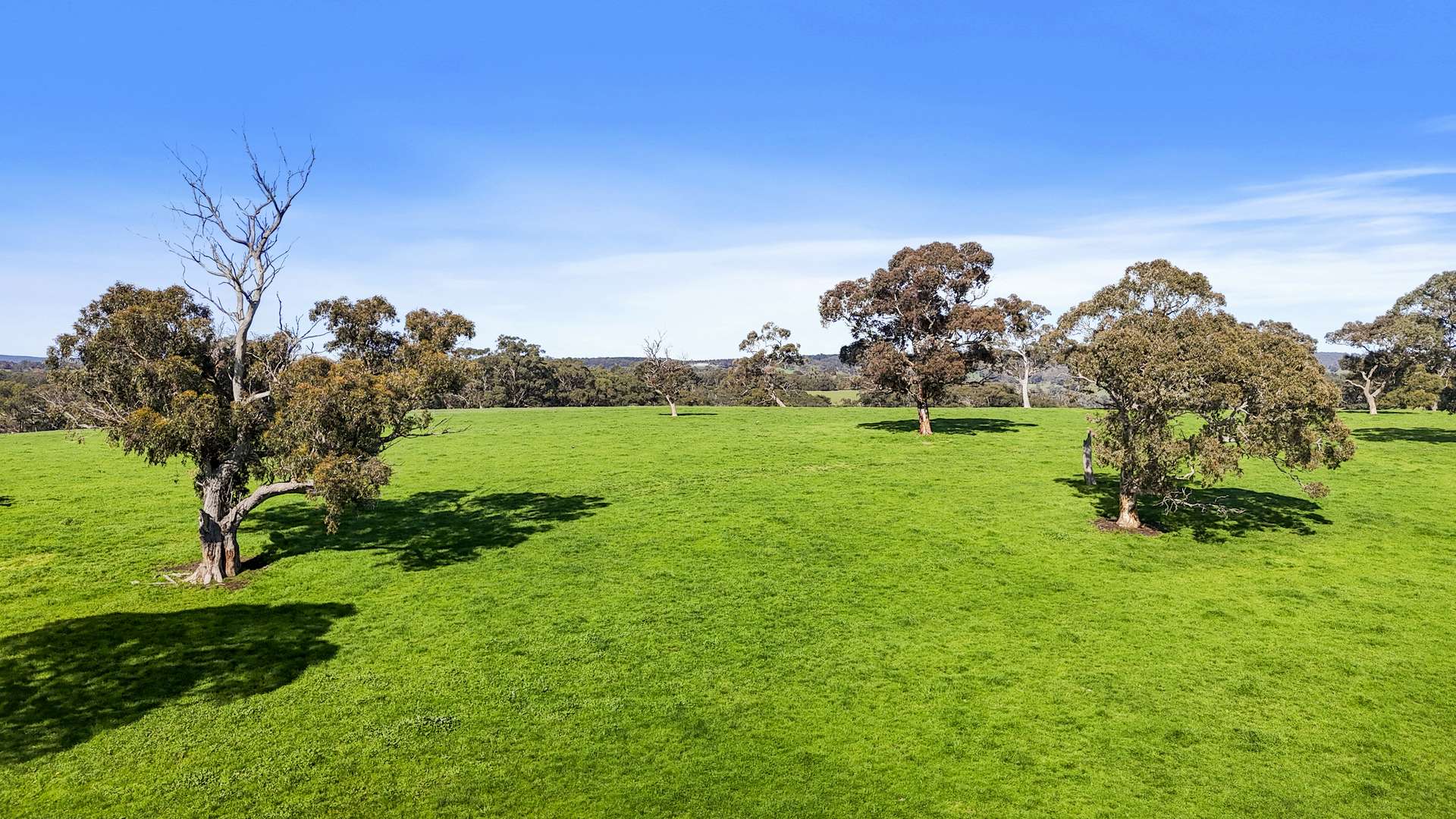 56 Kingsway Road, Kuitpo For Sale by Farmbuy.com - image 31