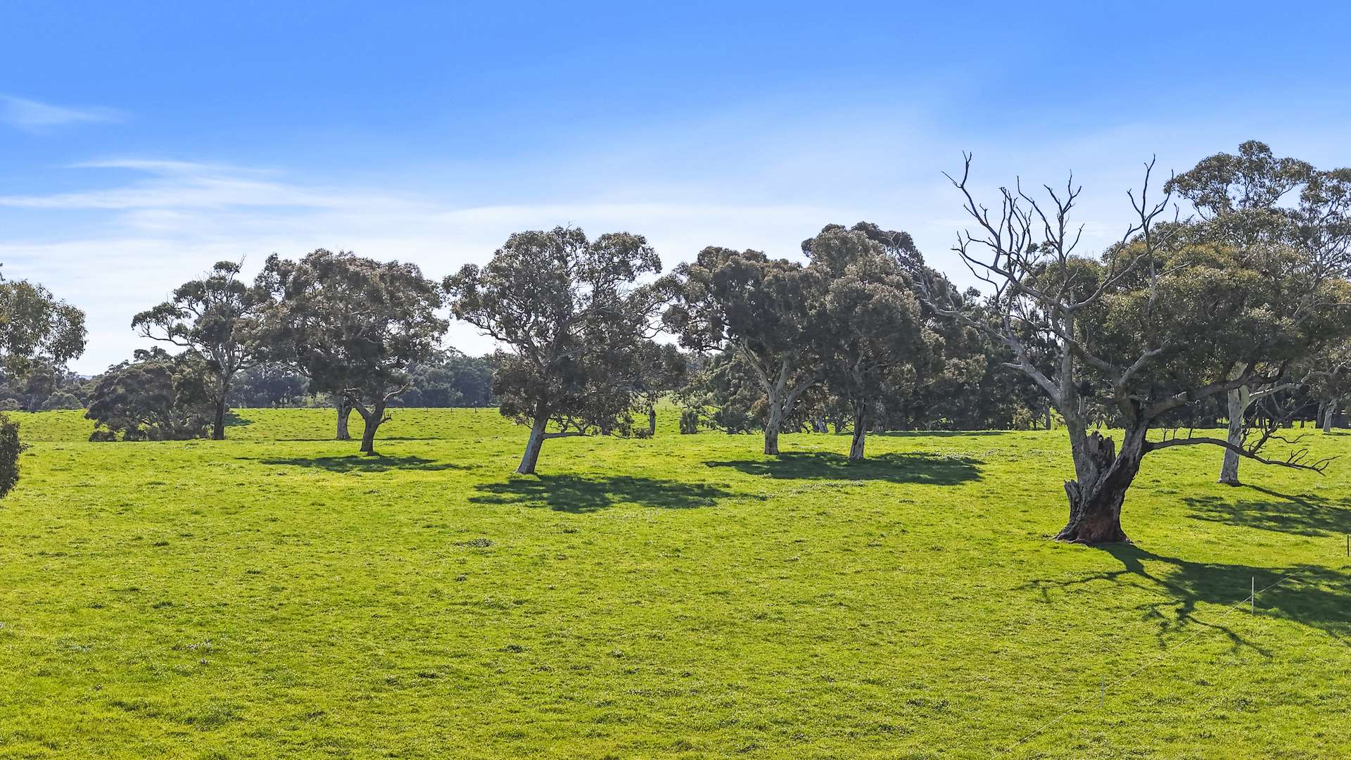 56 Kingsway Road, Kuitpo For Sale by Farmbuy.com - image 33