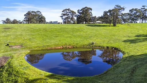 Farm For Sale - SA - Kuitpo - 5201 - 'Wrenwood' - Picture Perfect 45 Acres in the Heart of Kuitpo 