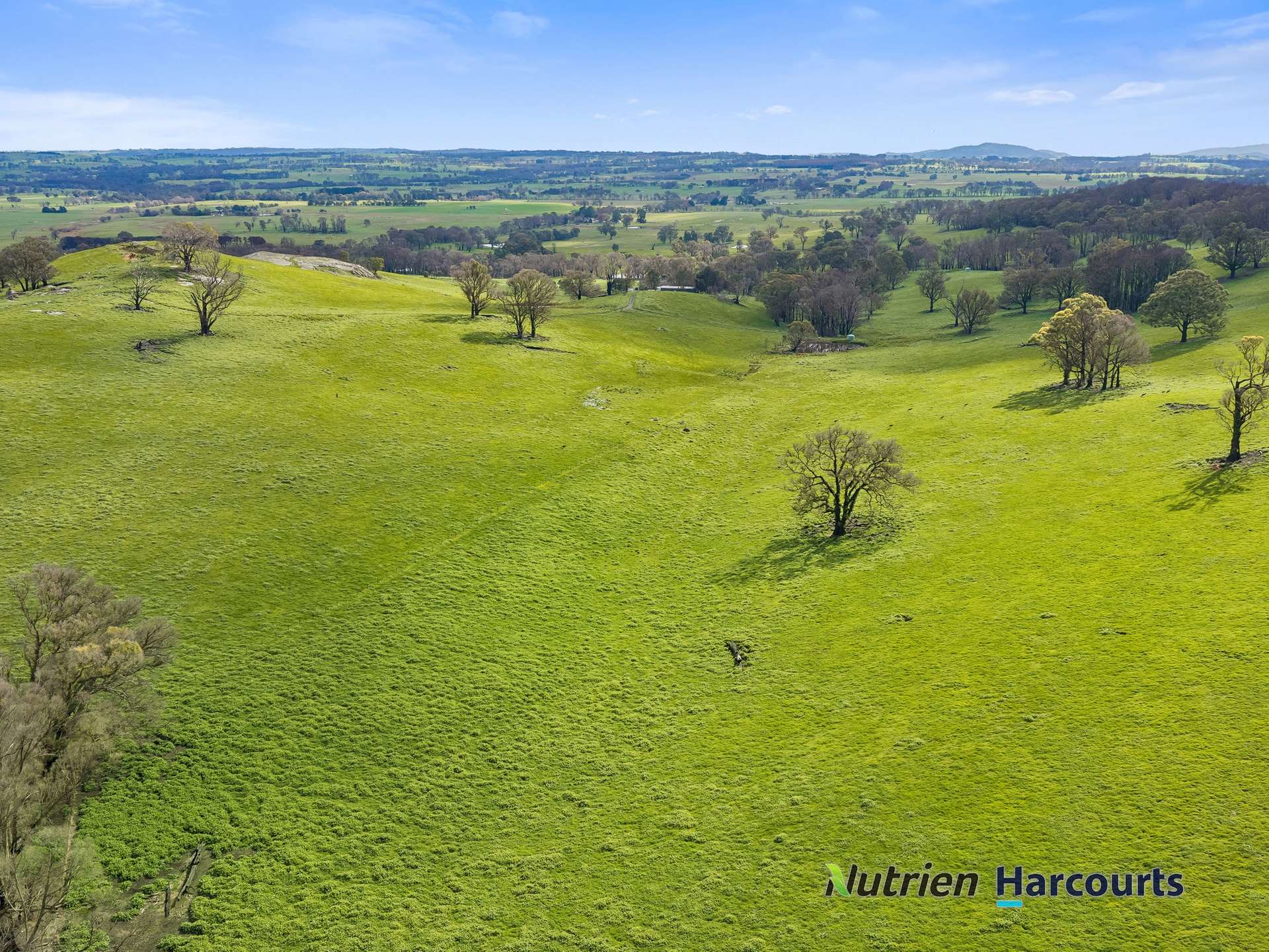 629 Top Road, Terip Terip For Sale by Farmbuy.com - image 3