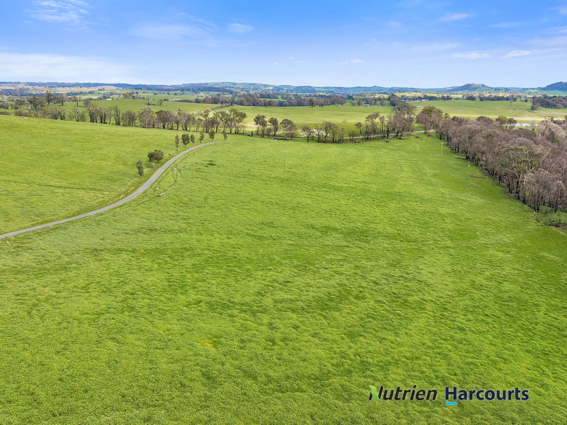629 Top Road, Terip Terip For Sale by Farmbuy.com - image 16