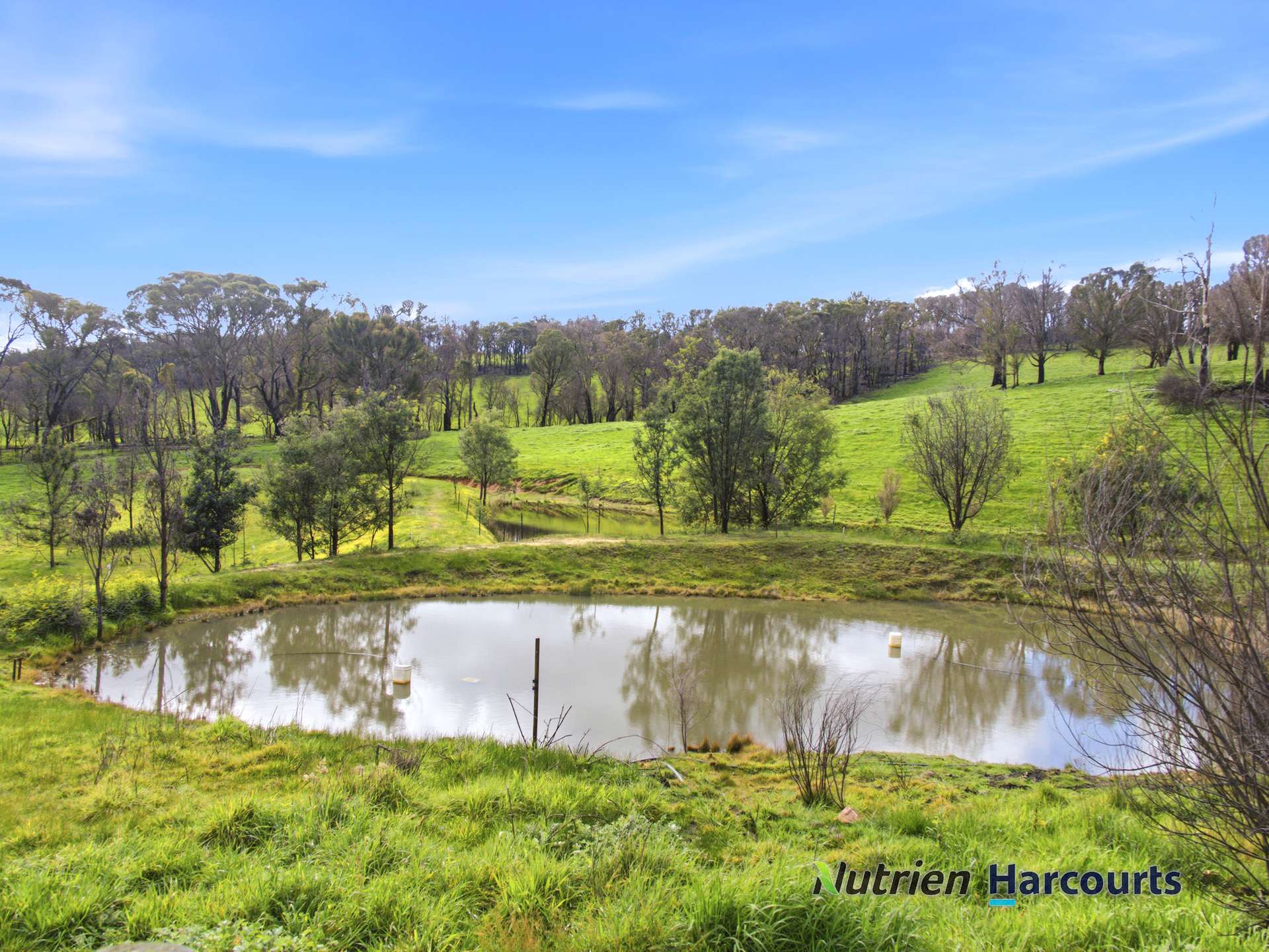 629 Top Road, Terip Terip For Sale by Farmbuy.com - image 7