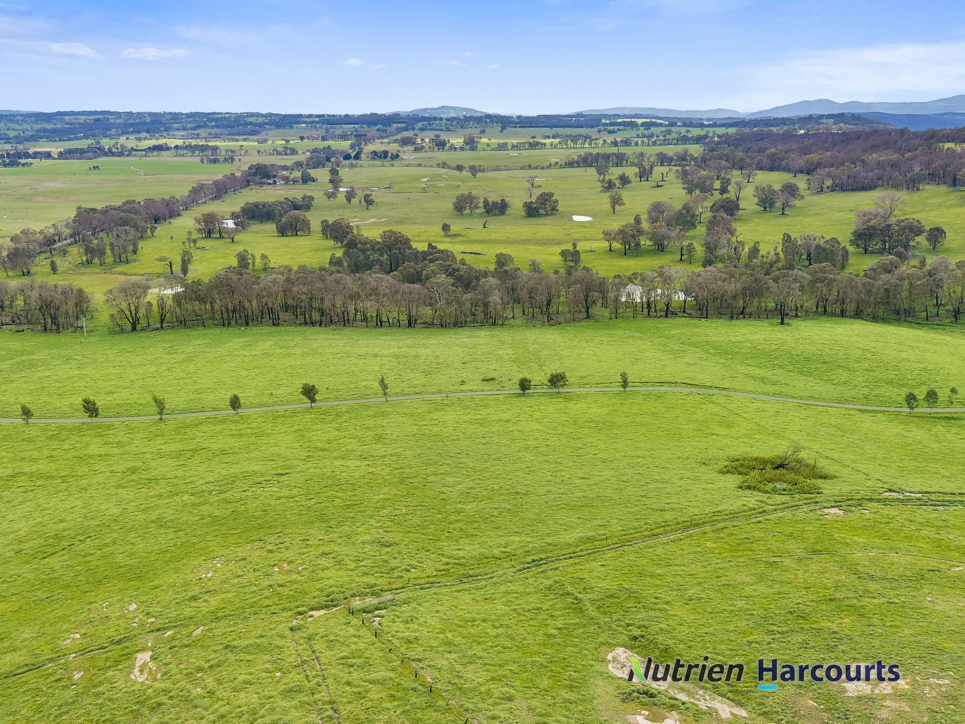 629 Top Road, Terip Terip For Sale by Farmbuy.com - image 24