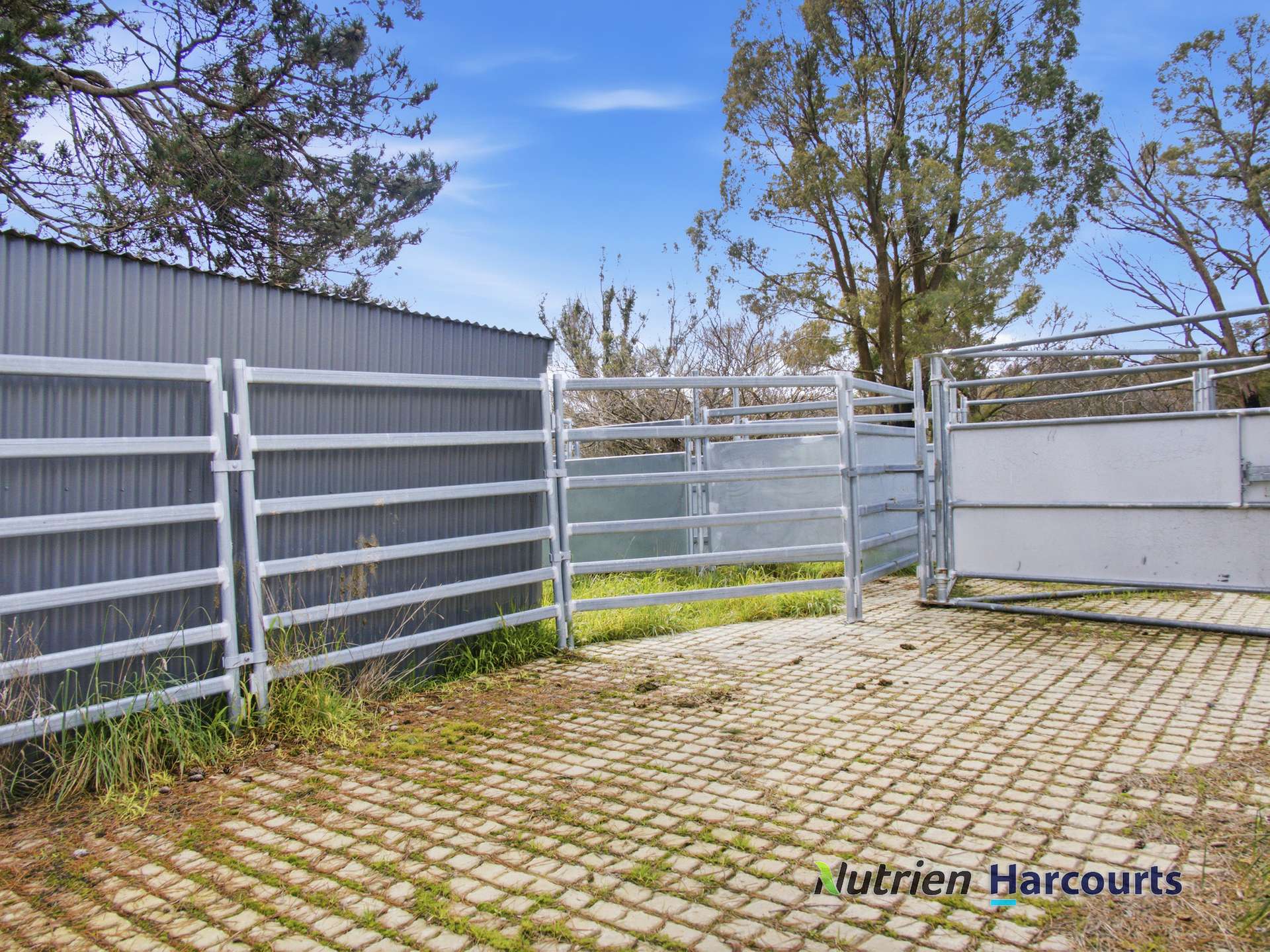 629 Top Road, Terip Terip For Sale by Farmbuy.com - image 11