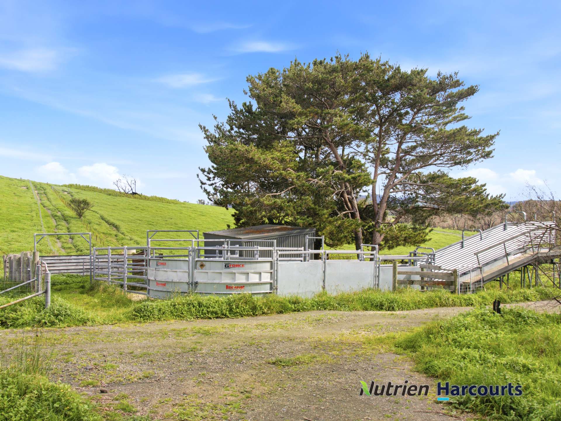 629 Top Road, Terip Terip For Sale by Farmbuy.com - image 10