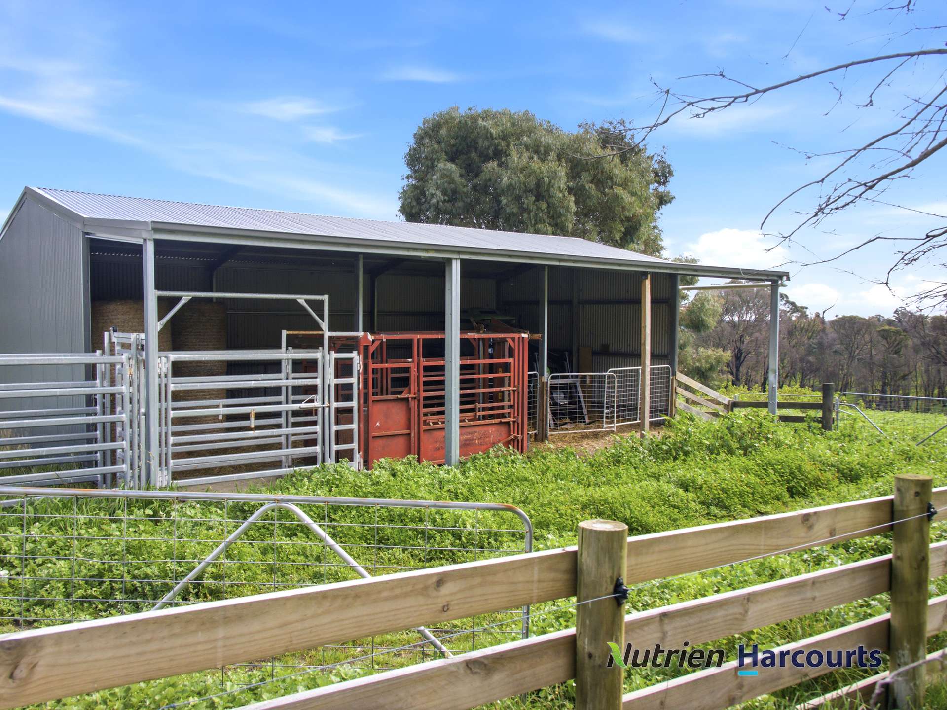 629 Top Road, Terip Terip For Sale by Farmbuy.com - image 9