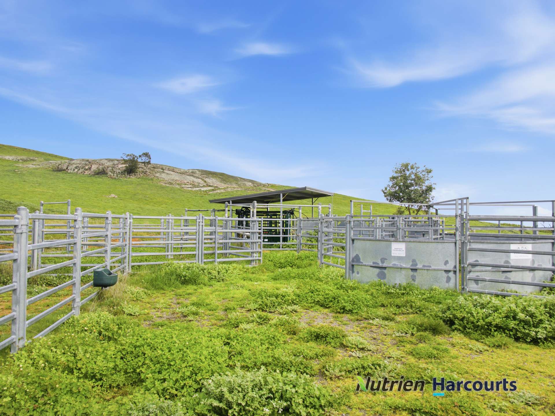 629 Top Road, Terip Terip For Sale by Farmbuy.com - image 13