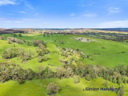 Farm For Sale - VIC - Terip Terip - 3719 - Productive Grazing Property with Spectacular Views 