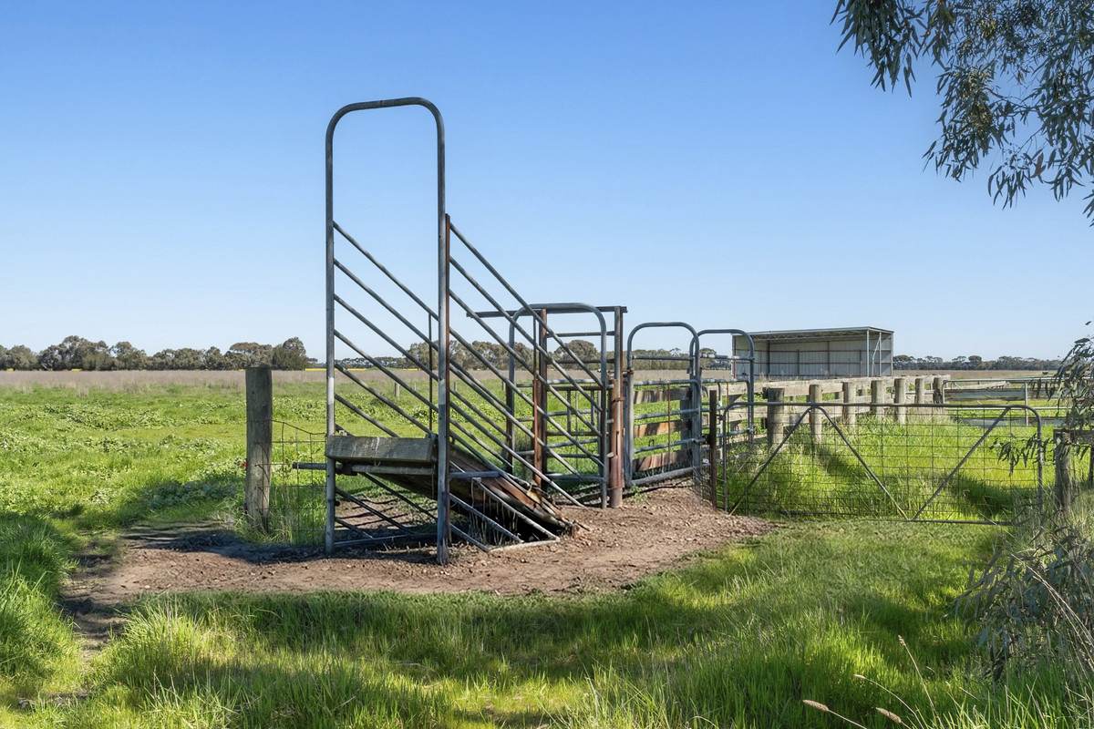 Crn Steeles Road & Foxhow Road, Leslie Manor For Sale by Farmbuy.com - image 6