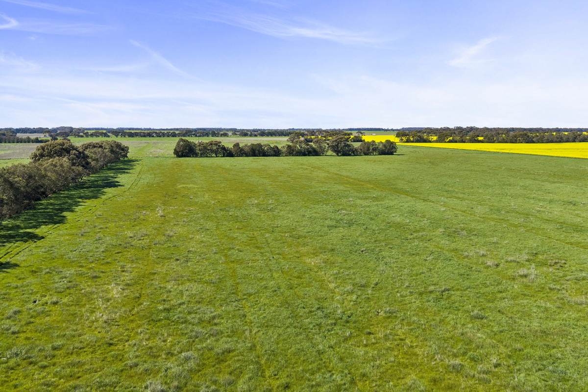 Crn Steeles Road & Foxhow Road, Leslie Manor For Sale by Farmbuy.com - image 14