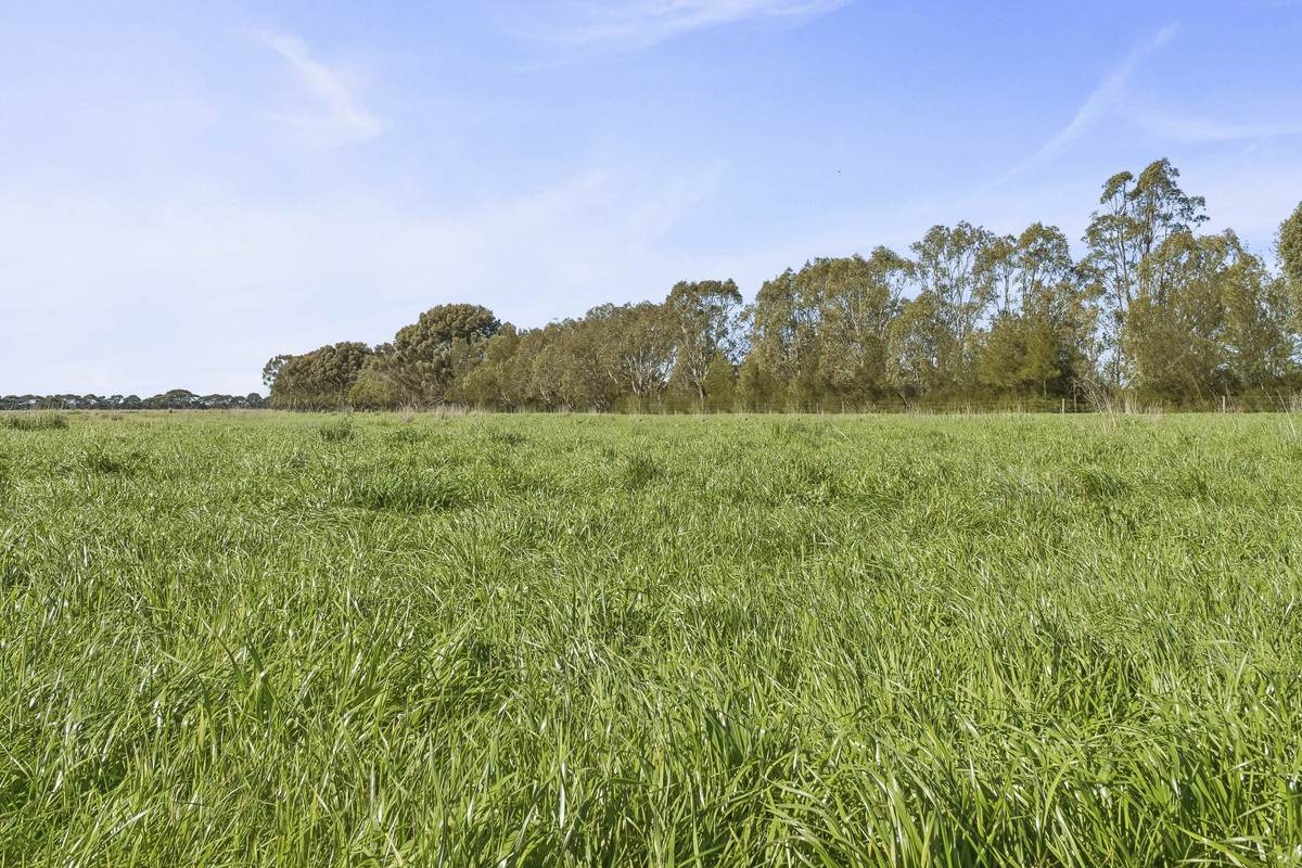 Crn Steeles Road & Foxhow Road, Leslie Manor For Sale by Farmbuy.com - image 11