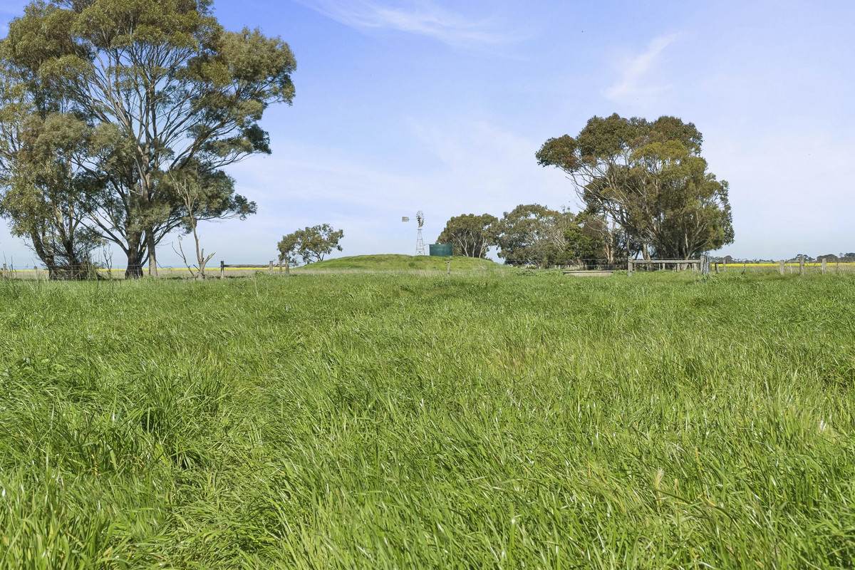 Crn Steeles Road & Foxhow Road, Leslie Manor For Sale by Farmbuy.com - image 5