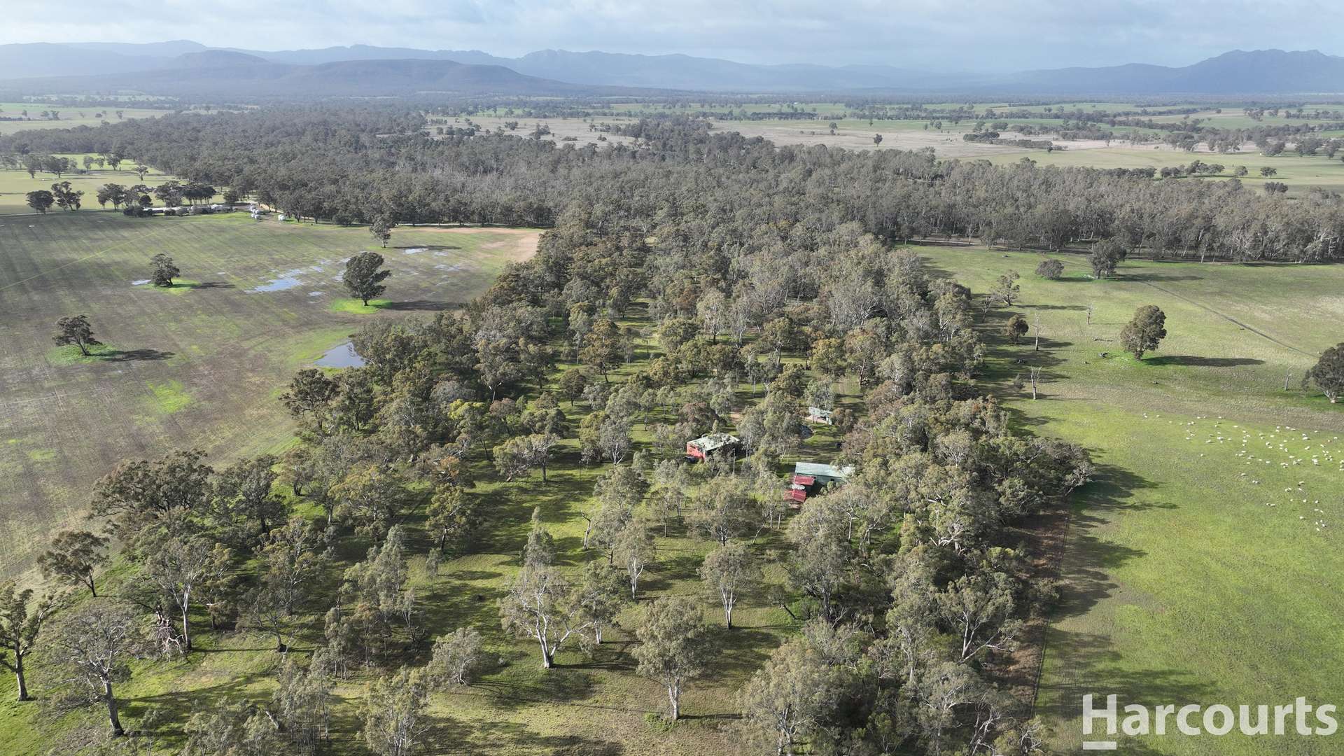 1234 Staehrs Road, Laharum For Sale by Farmbuy.com - image 21
