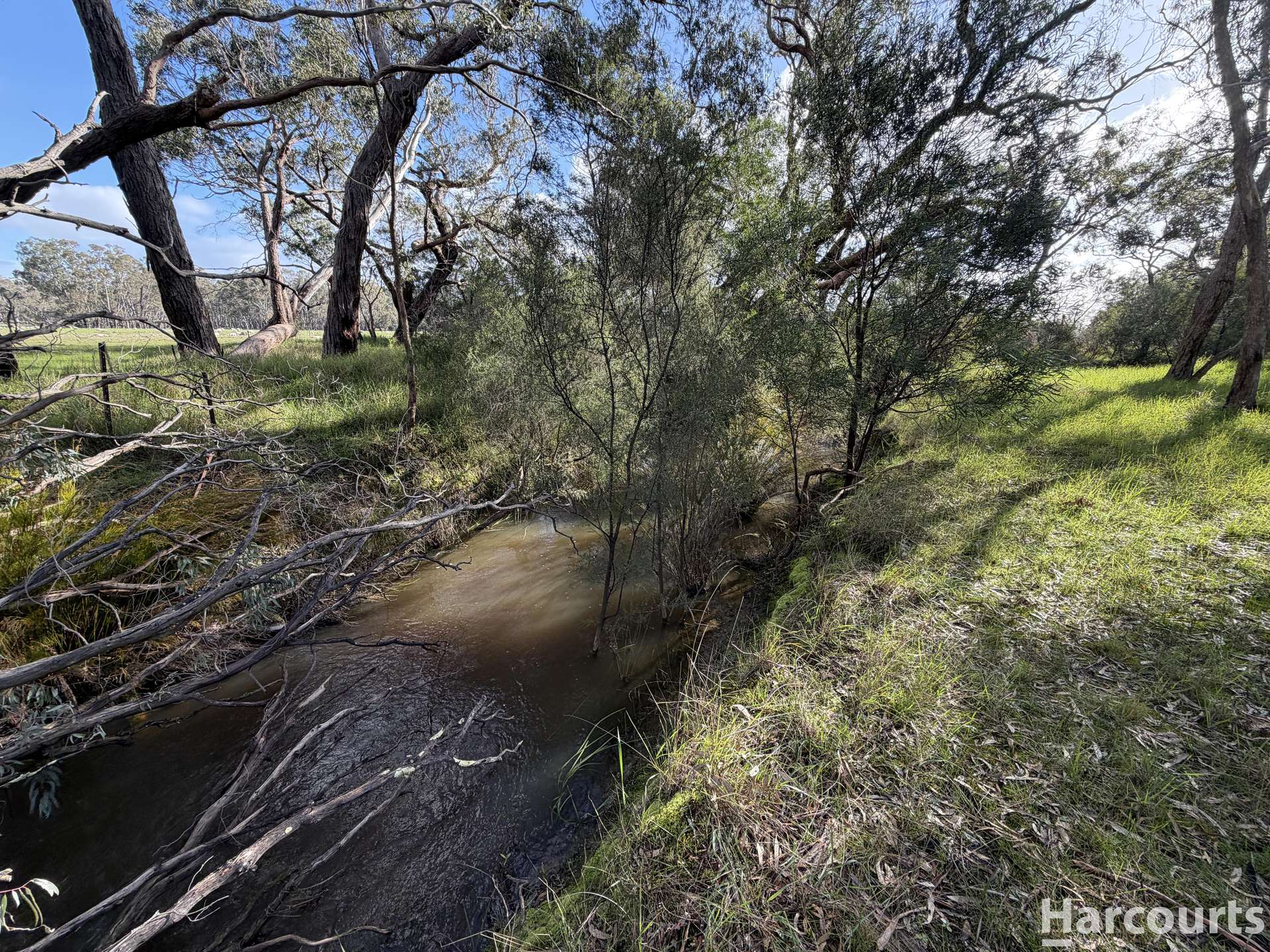 1234 Staehrs Road, Laharum For Sale by Farmbuy.com - image 22