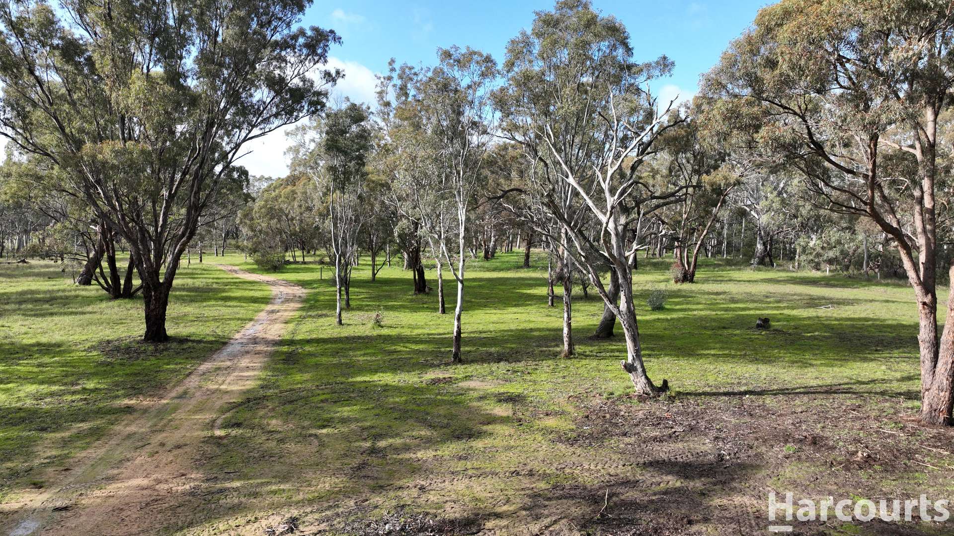 1234 Staehrs Road, Laharum For Sale by Farmbuy.com - image 16