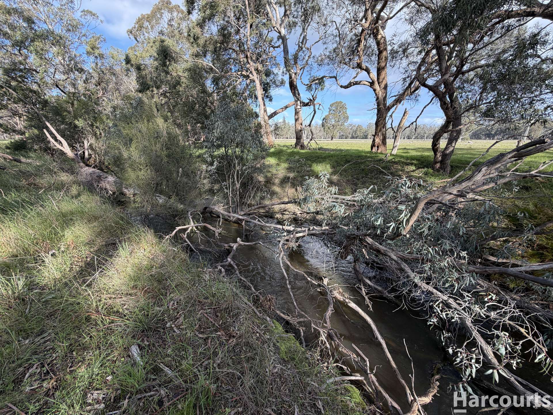 1234 Staehrs Road, Laharum For Sale by Farmbuy.com - image 23